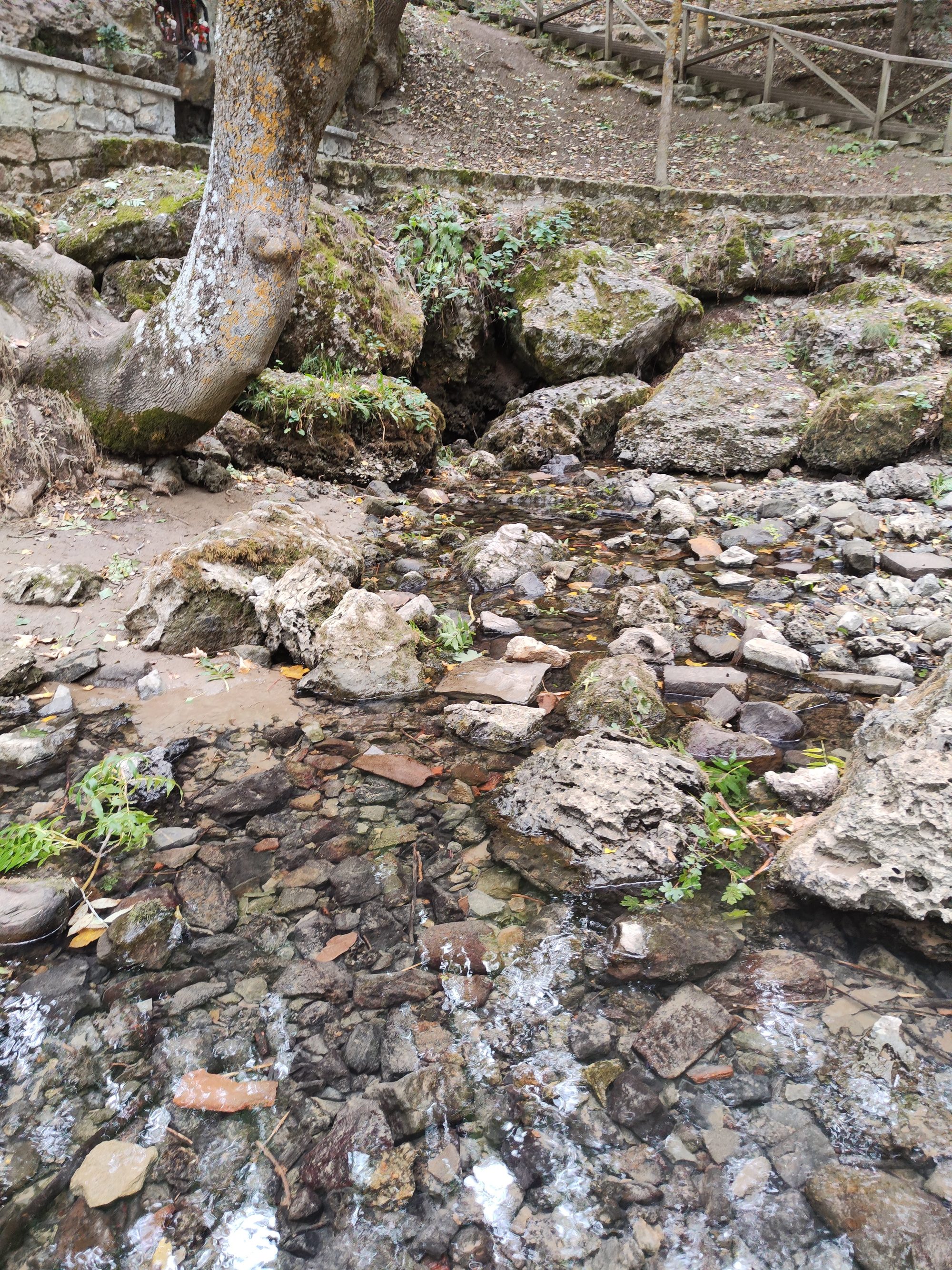 Arroyo de aguas cristalinas fluyendo entre rocas y piedras cubiertas de musgo en el bosque.