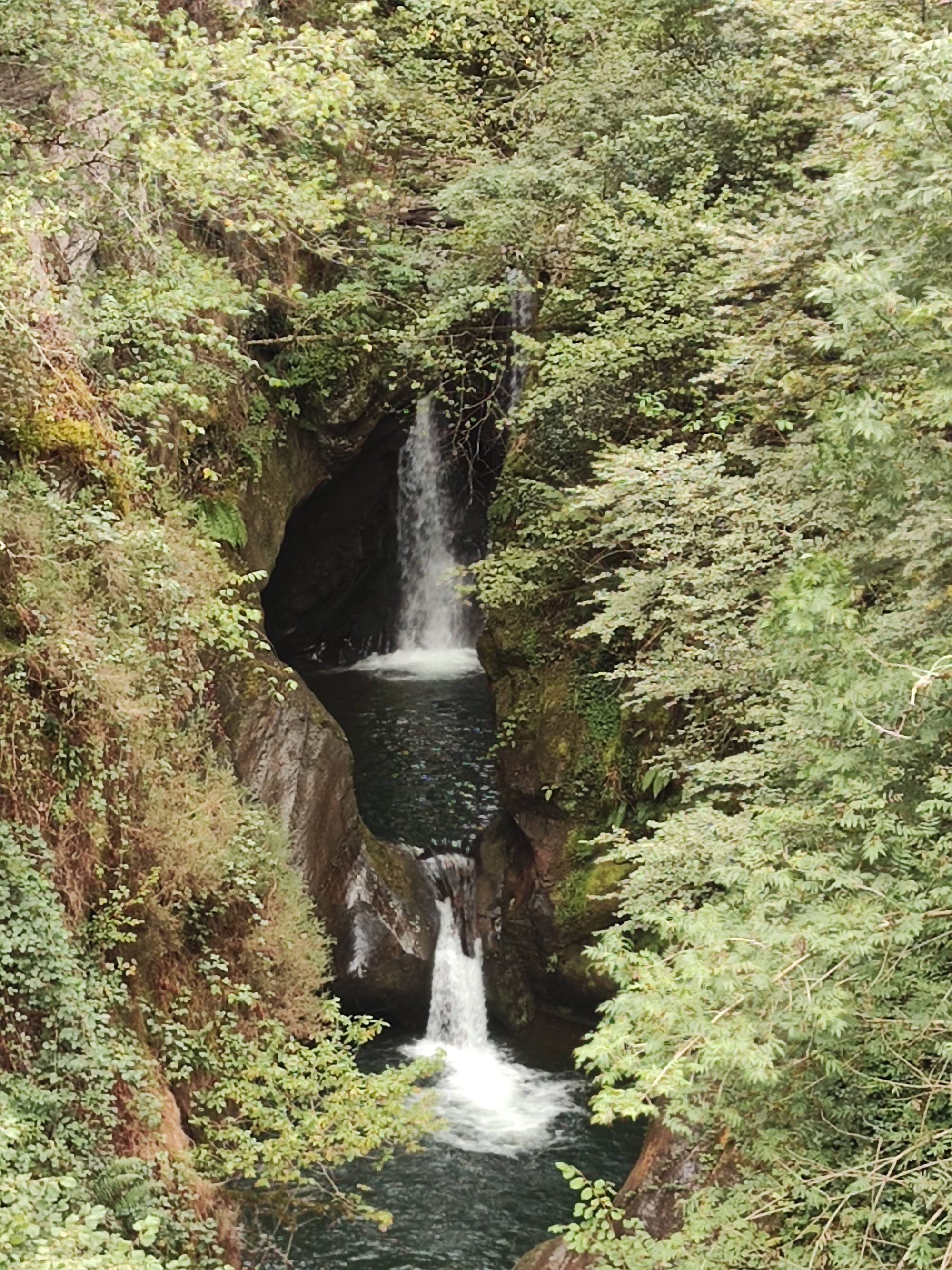 Cascada entre rocas oscuras rodeada de densa vegetación verde en un desfiladero.