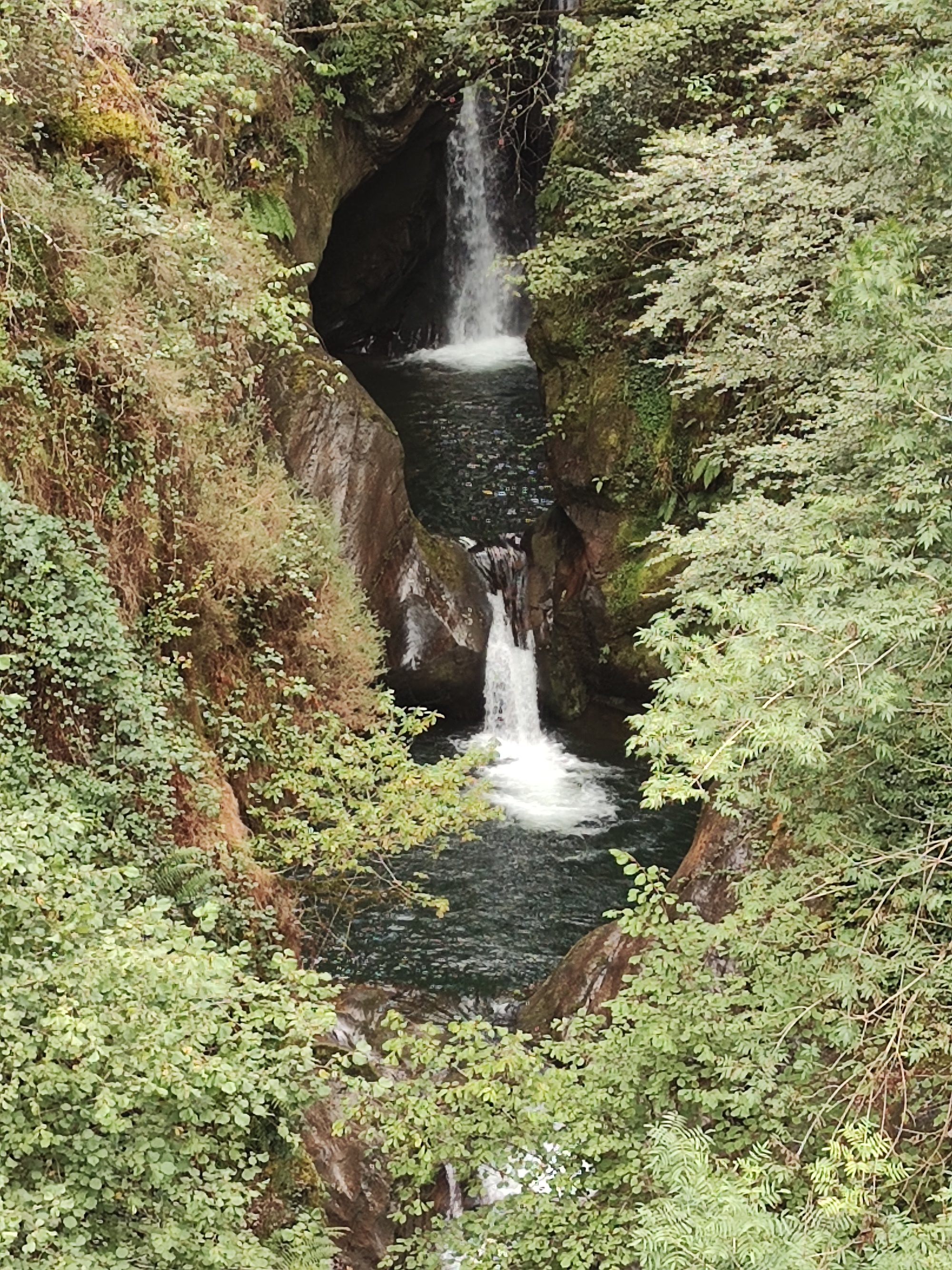 Cascadas naturales fluyendo entre rocas y densa vegetación verde en un cañón.