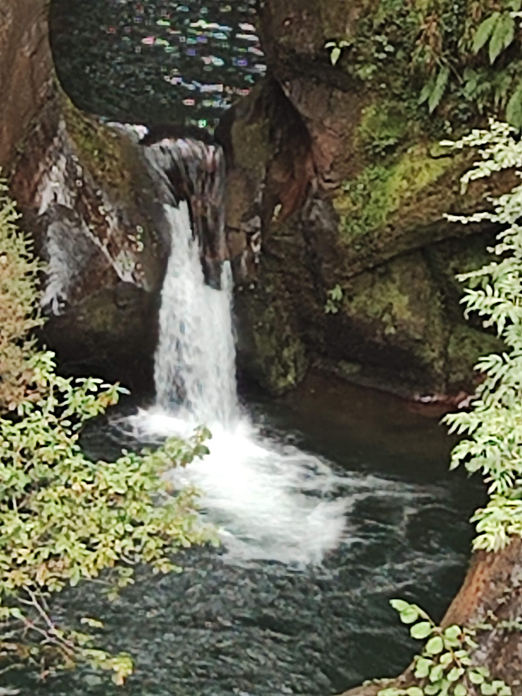 Cascada de agua cayendo en una poza natural entre rocas cubiertas de vegetación.