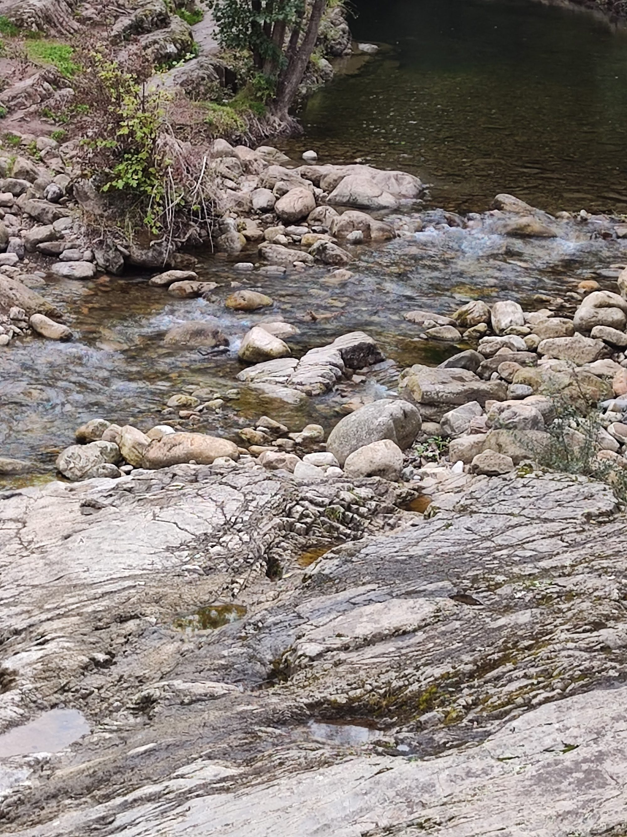 Río de aguas cristalinas fluyendo entre rocas y piedras en un entorno natural.