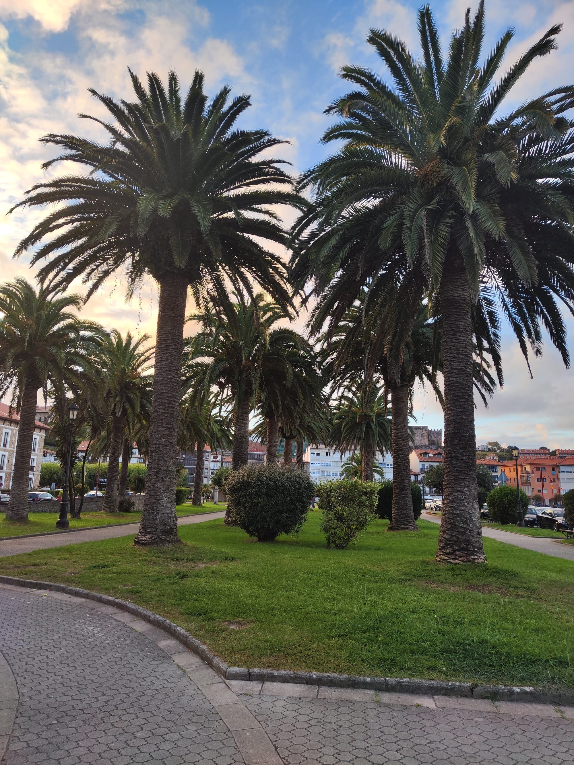 Parque ajardinado con altas palmeras y senderos peatonales en San Vicente de la Barquera.