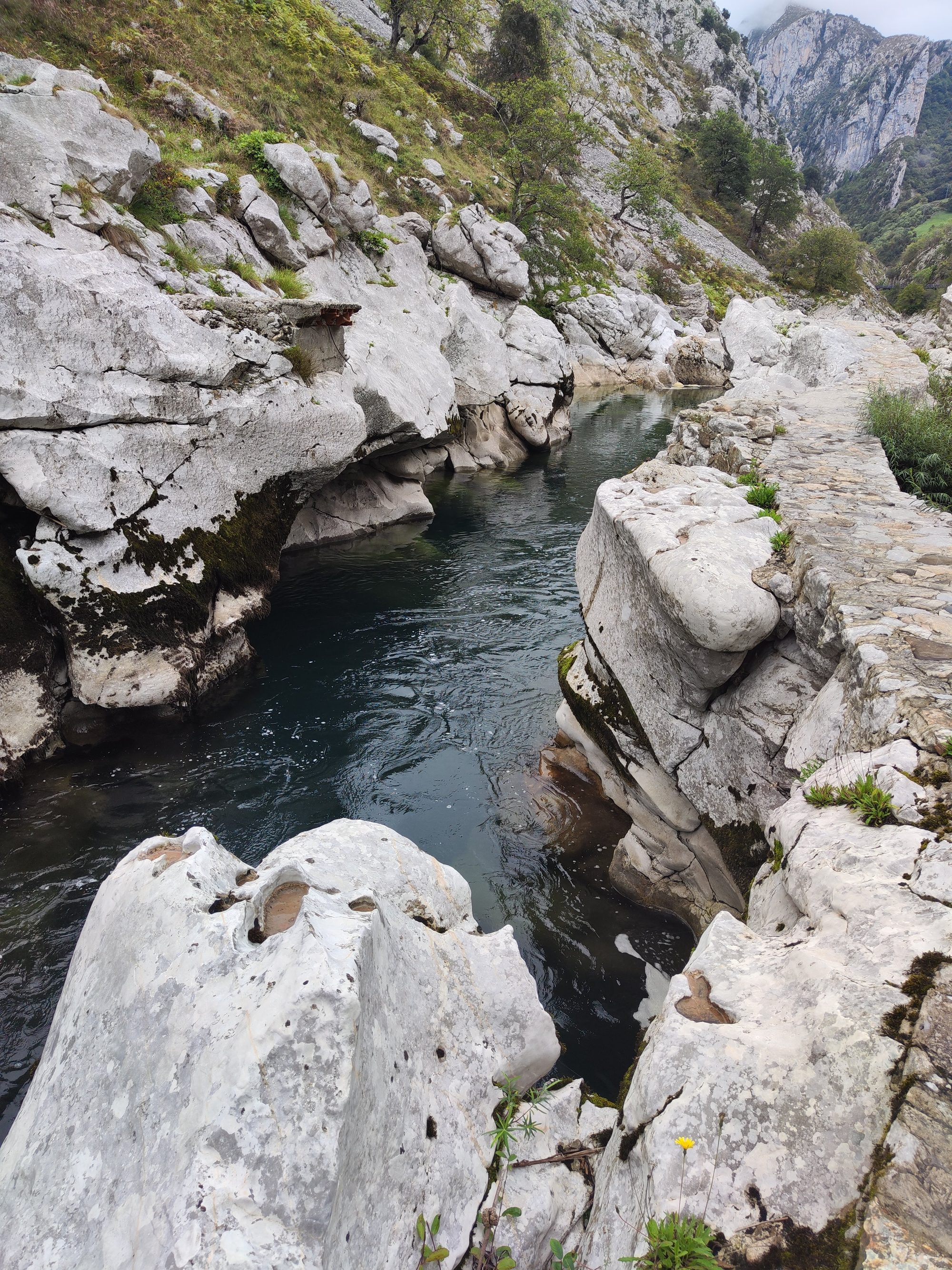 Río de montaña fluyendo entre formaciones rocosas calizas junto a un sendero de piedra.