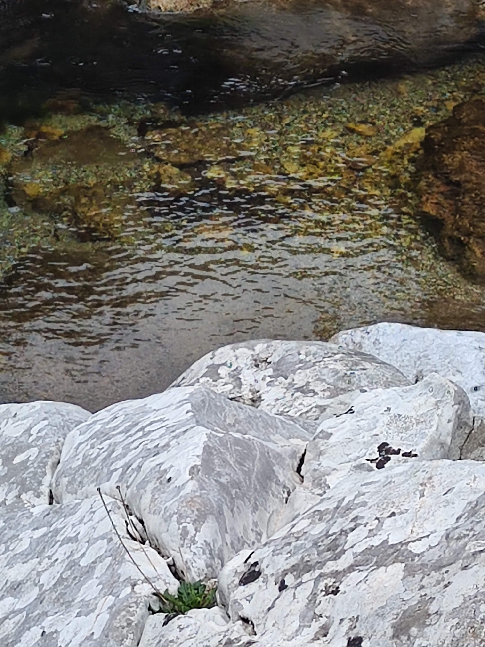 Rocas calizas claras junto al agua cristalina y transparente de un río.