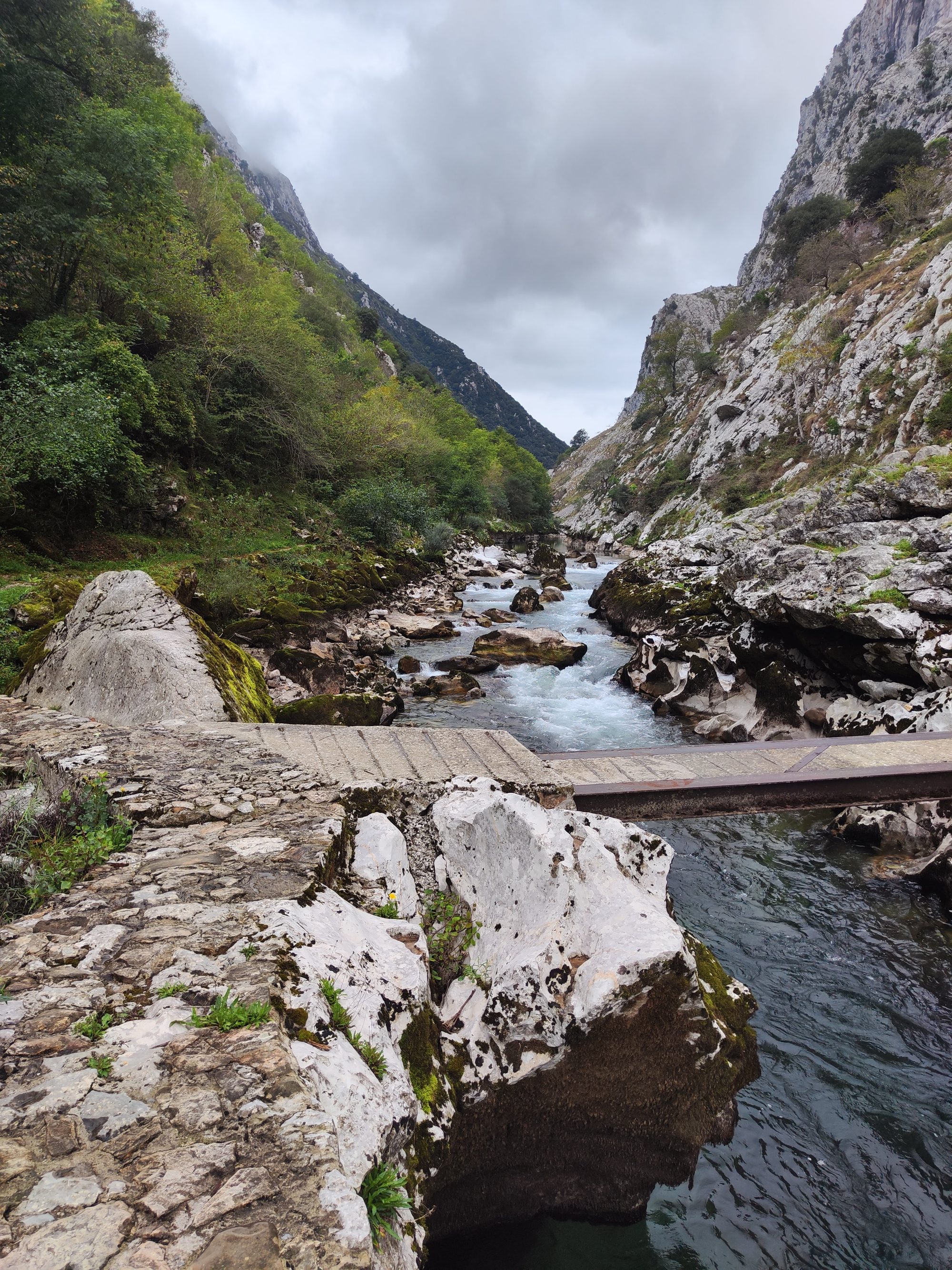 Río de montaña cruzando un desfiladero rocoso bajo un cielo nublado con puente rústico.
