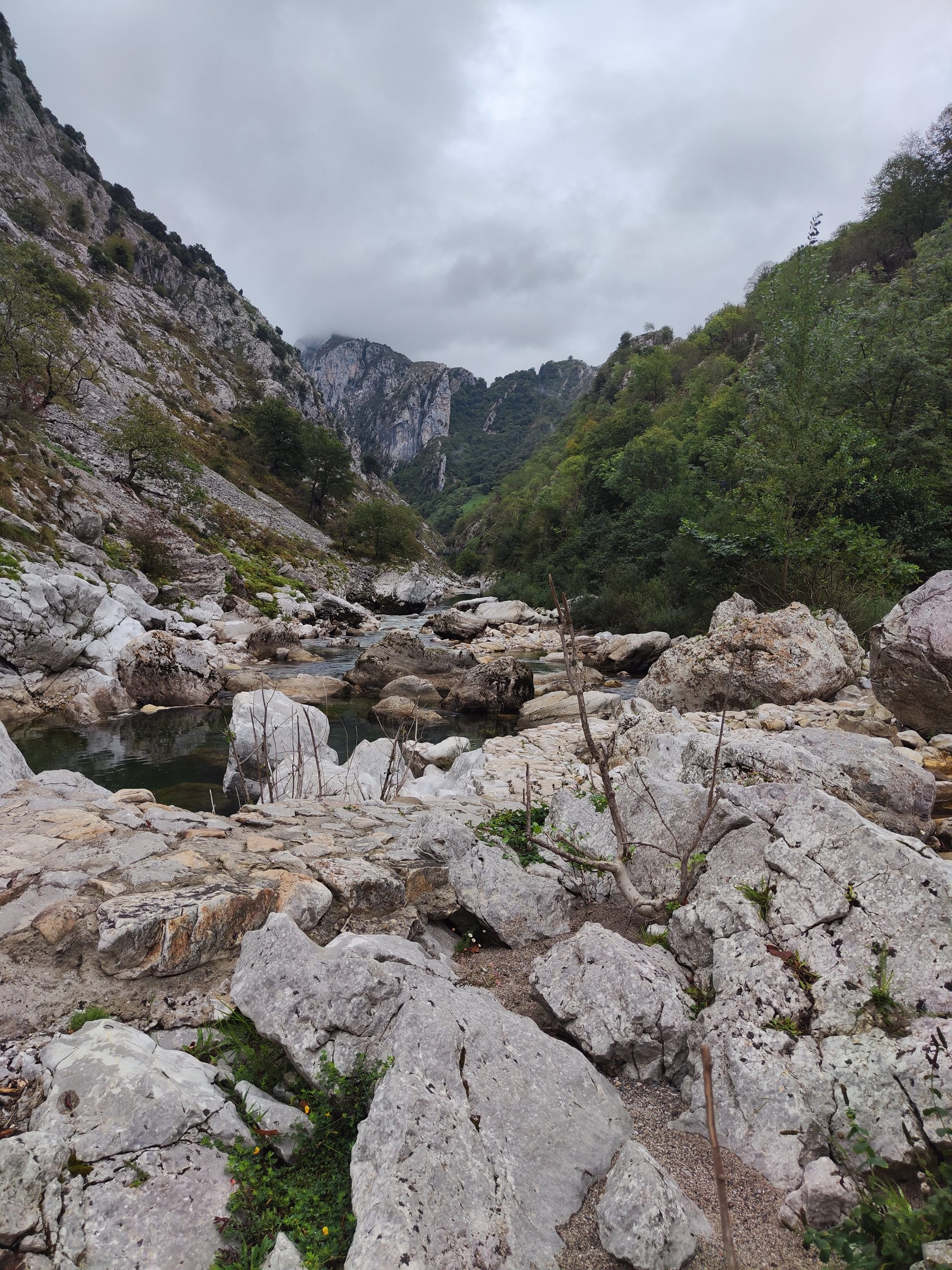 Río de montaña fluyendo entre grandes rocas calizas en un desfiladero asturiano con cielo nublado.