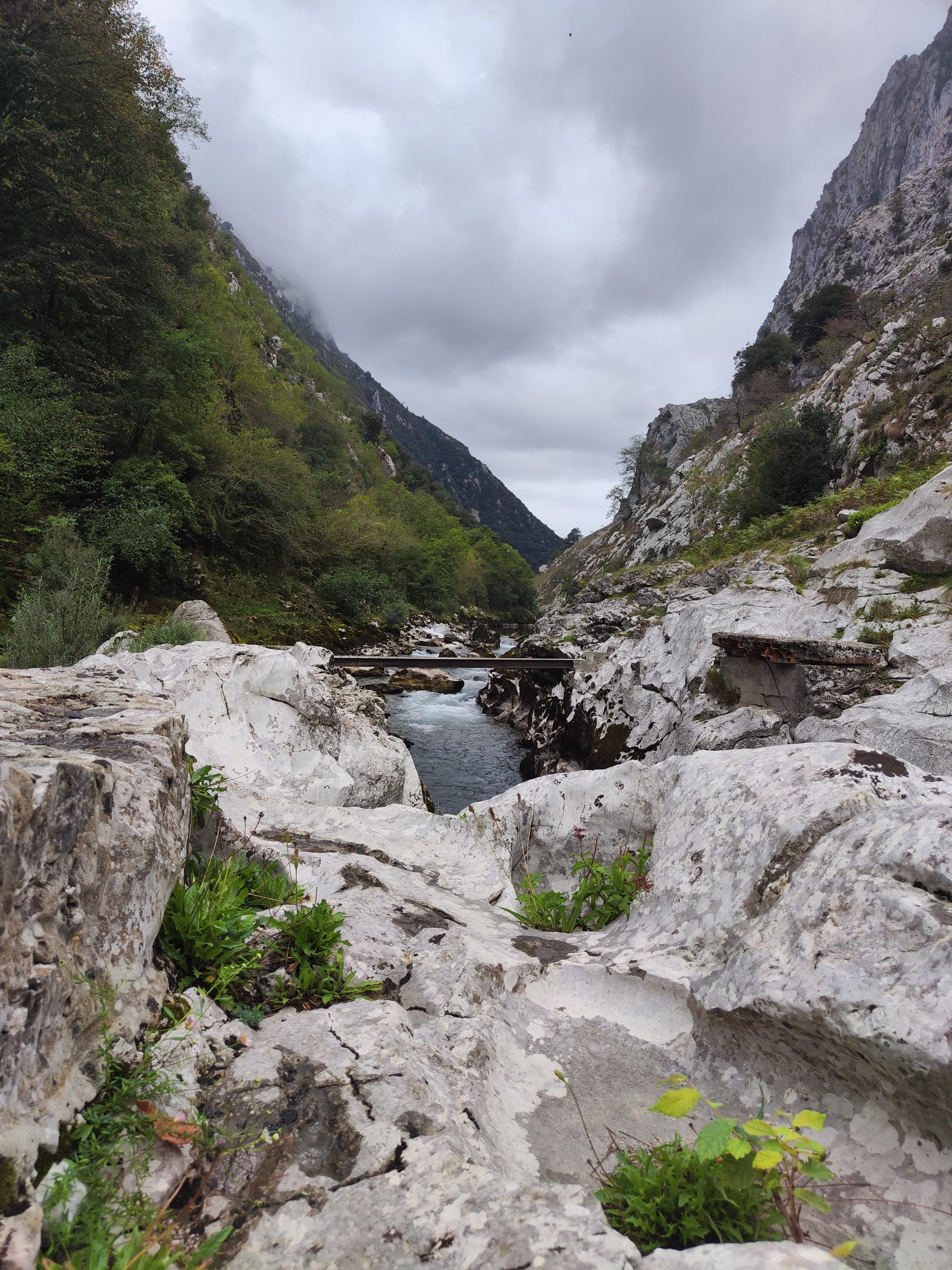 Río de montaña fluyendo entre rocas calizas y laderas verdes bajo un cielo nublado.