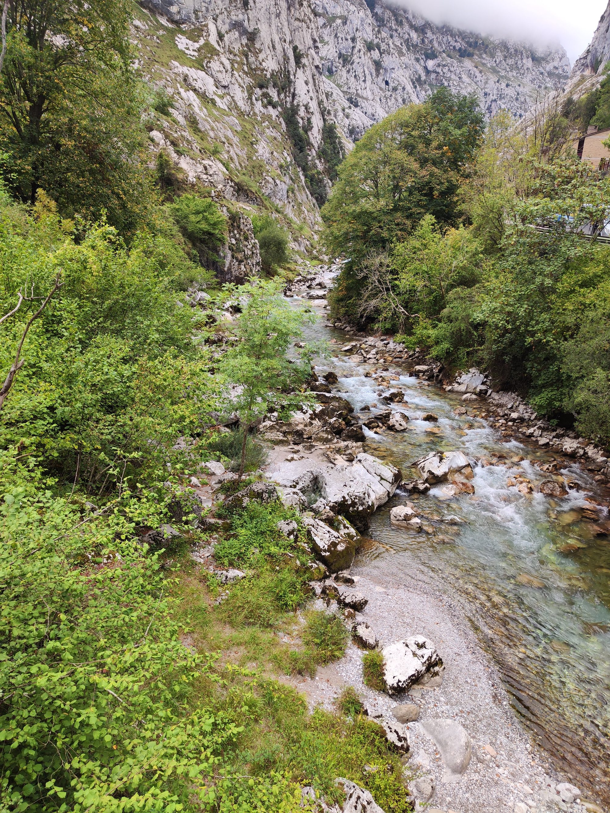 Río de montaña con aguas cristalinas fluyendo entre rocas y vegetación en un desfiladero.