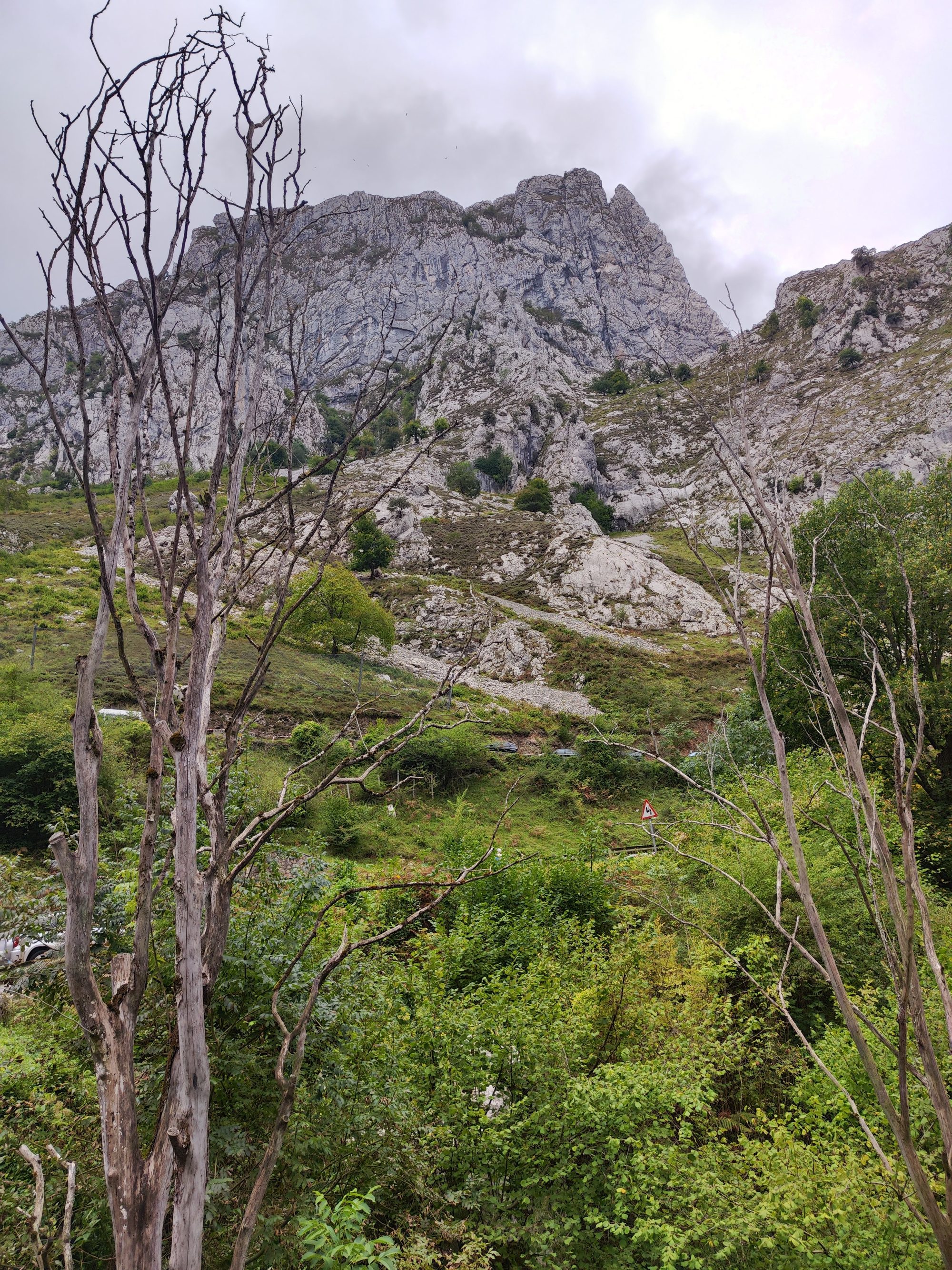 Macizo rocoso imponente tras árboles secos y vegetación verde bajo cielo nublado.