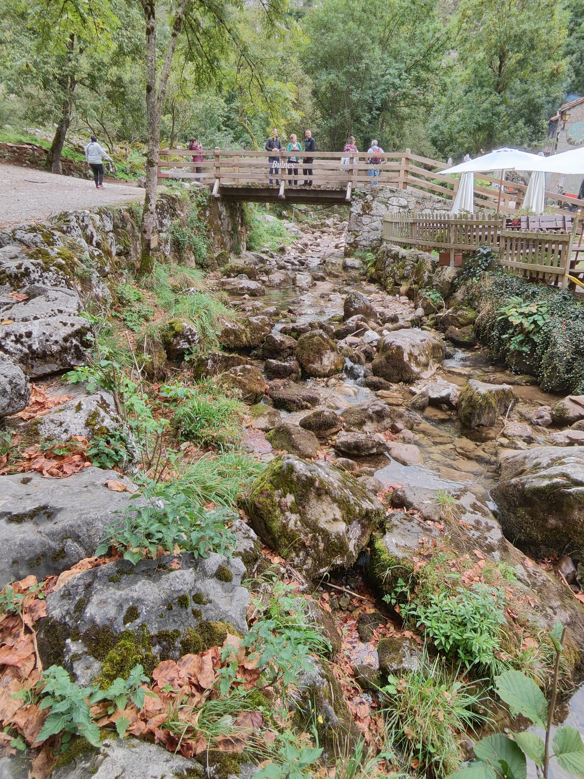 Arroyo pedregoso rodeado de vegetación bajo un puente de madera en Bulnes, Cabrales.