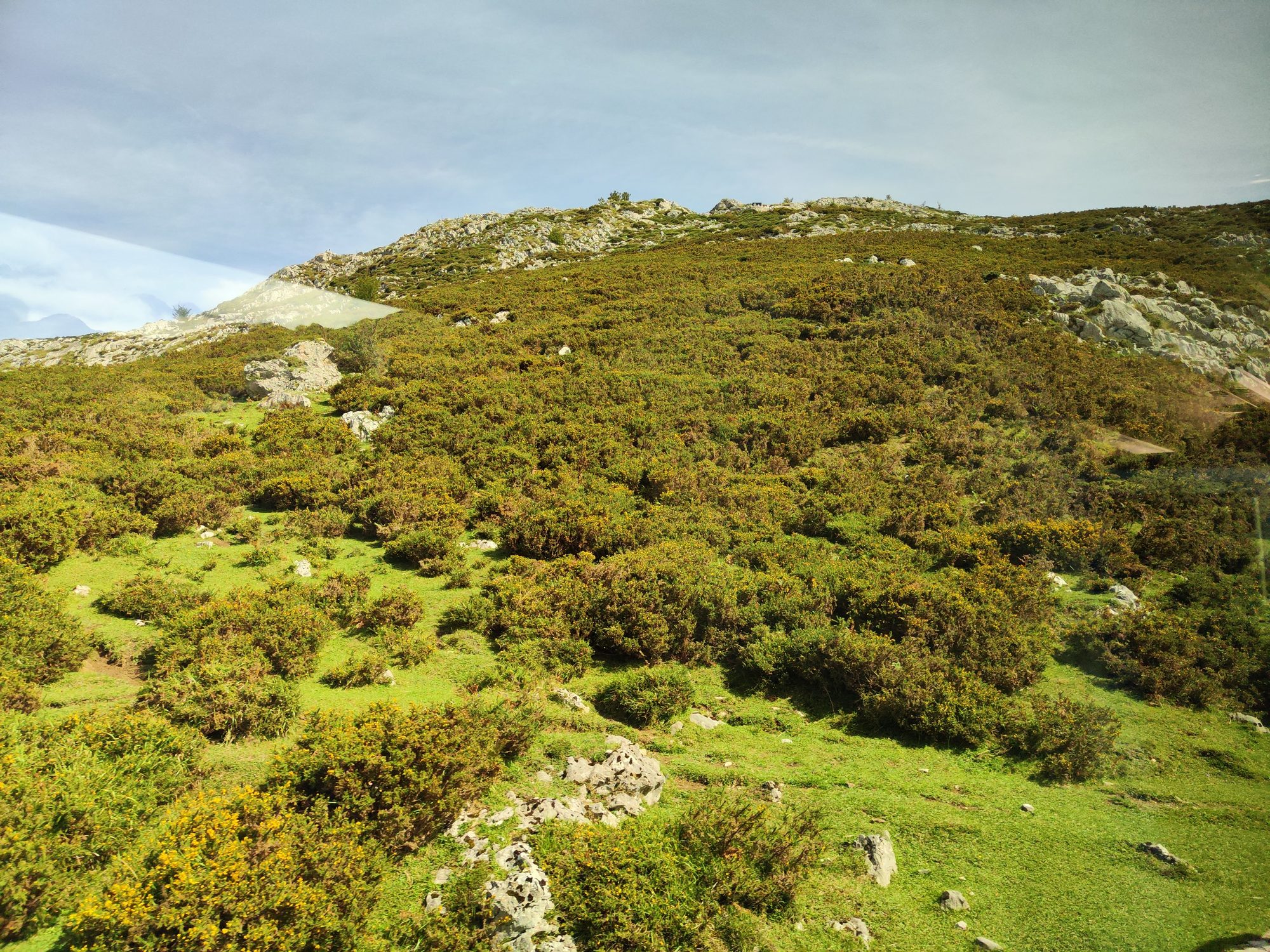 Ladera montañosa cubierta de matorrales verdes y formaciones rocosas bajo un cielo despejado.