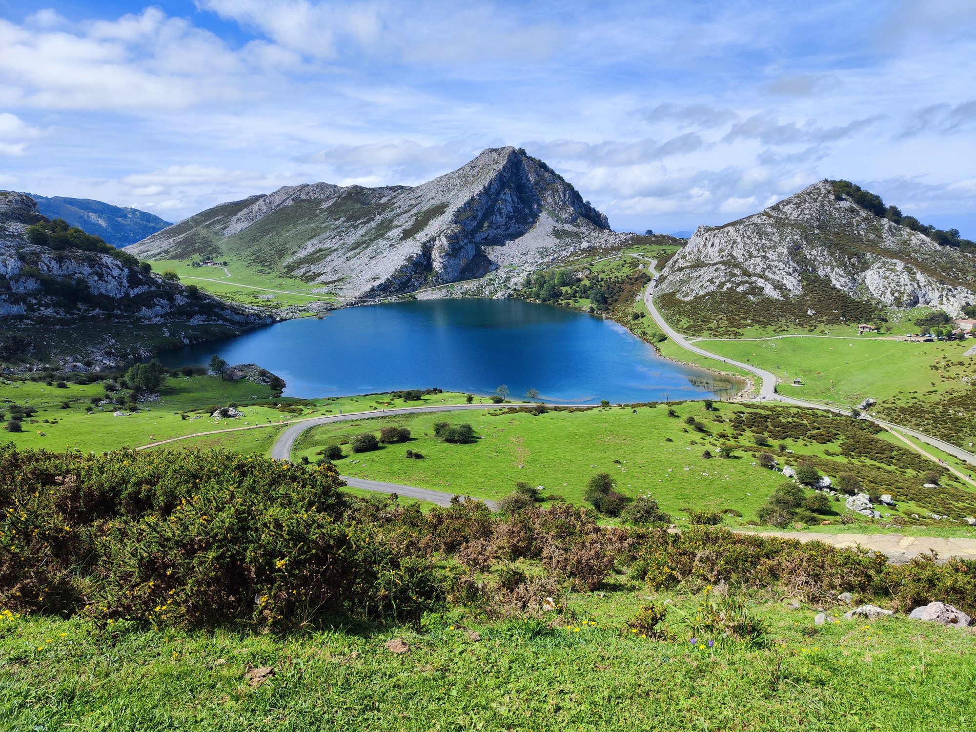 Lago Enol rodeado de verdes praderas y montañas rocosas bajo un cielo azul despejado.