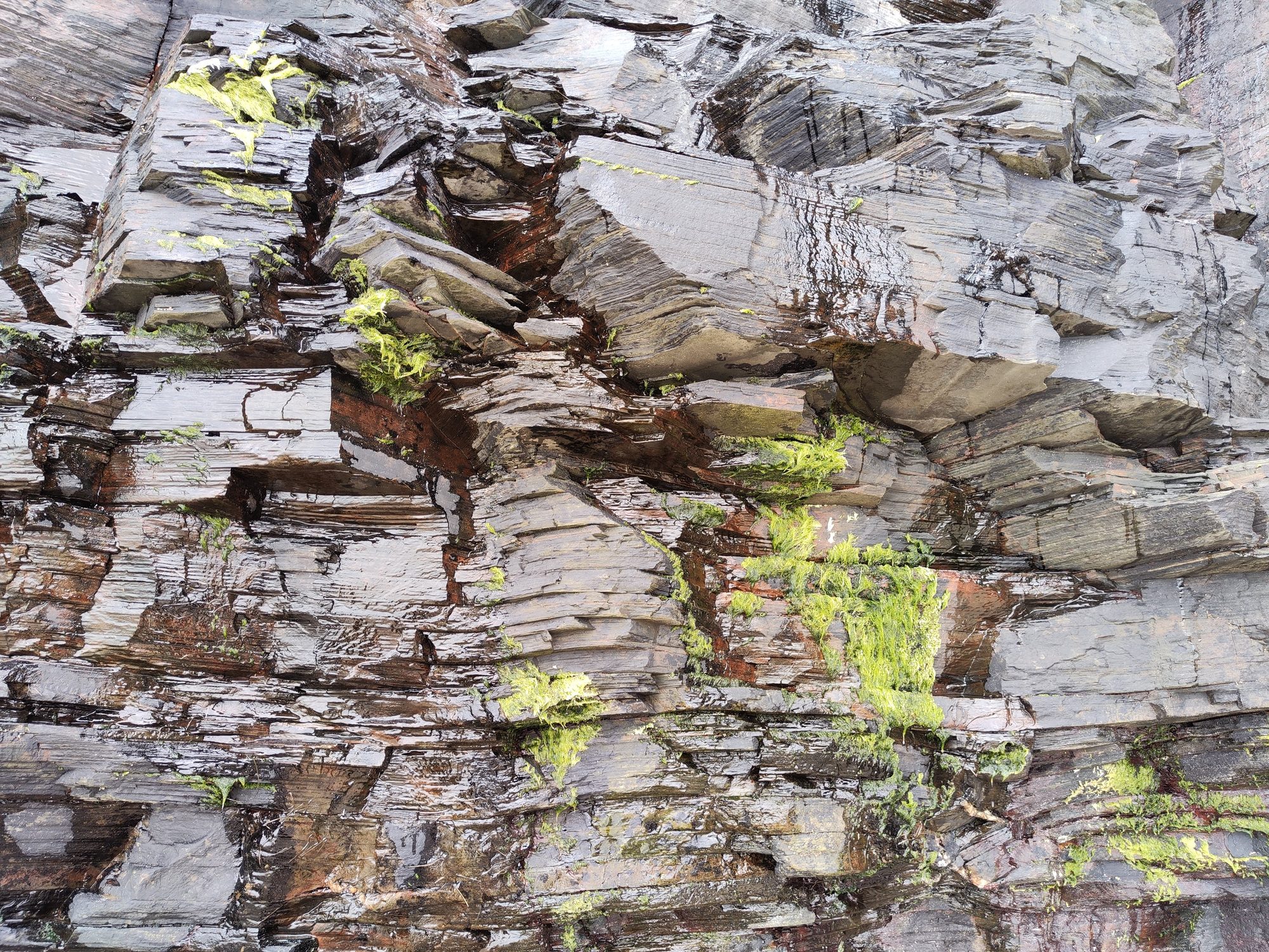 Detalle de rocas oscuras y húmedas con pequeñas manchas de musgo verde.