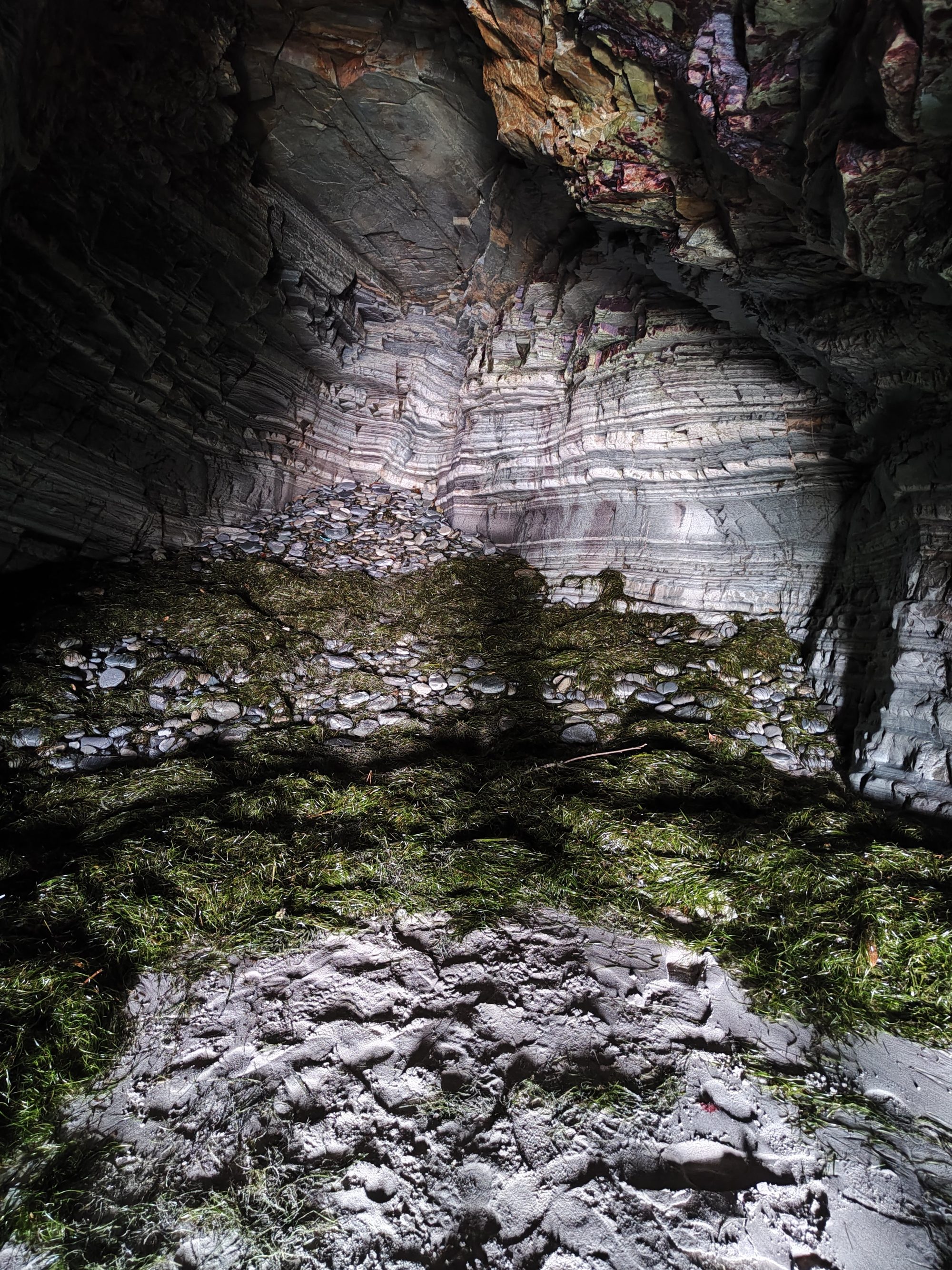 Interior de una cueva marina con paredes de roca estratificada y algas en Ribadeo.