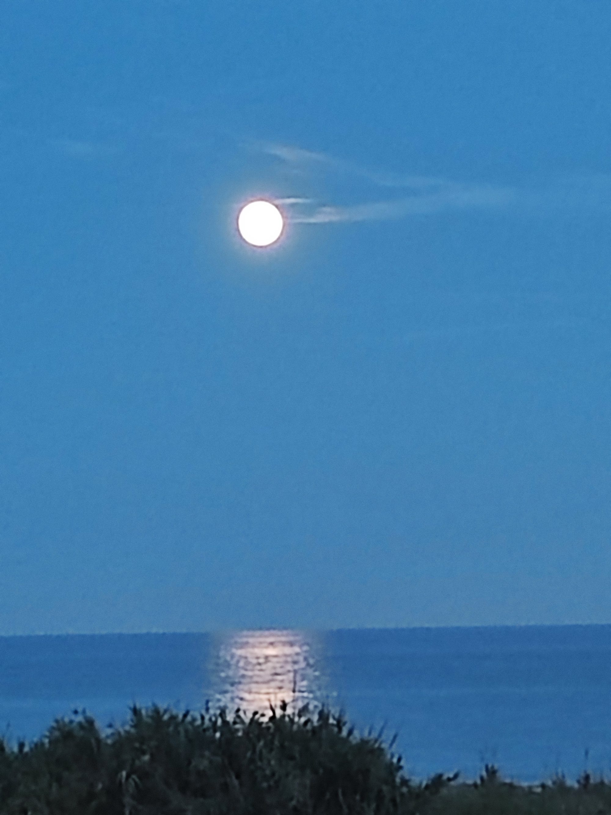 Luna llena brillante sobre el mar reflejando su luz en el agua al anochecer
