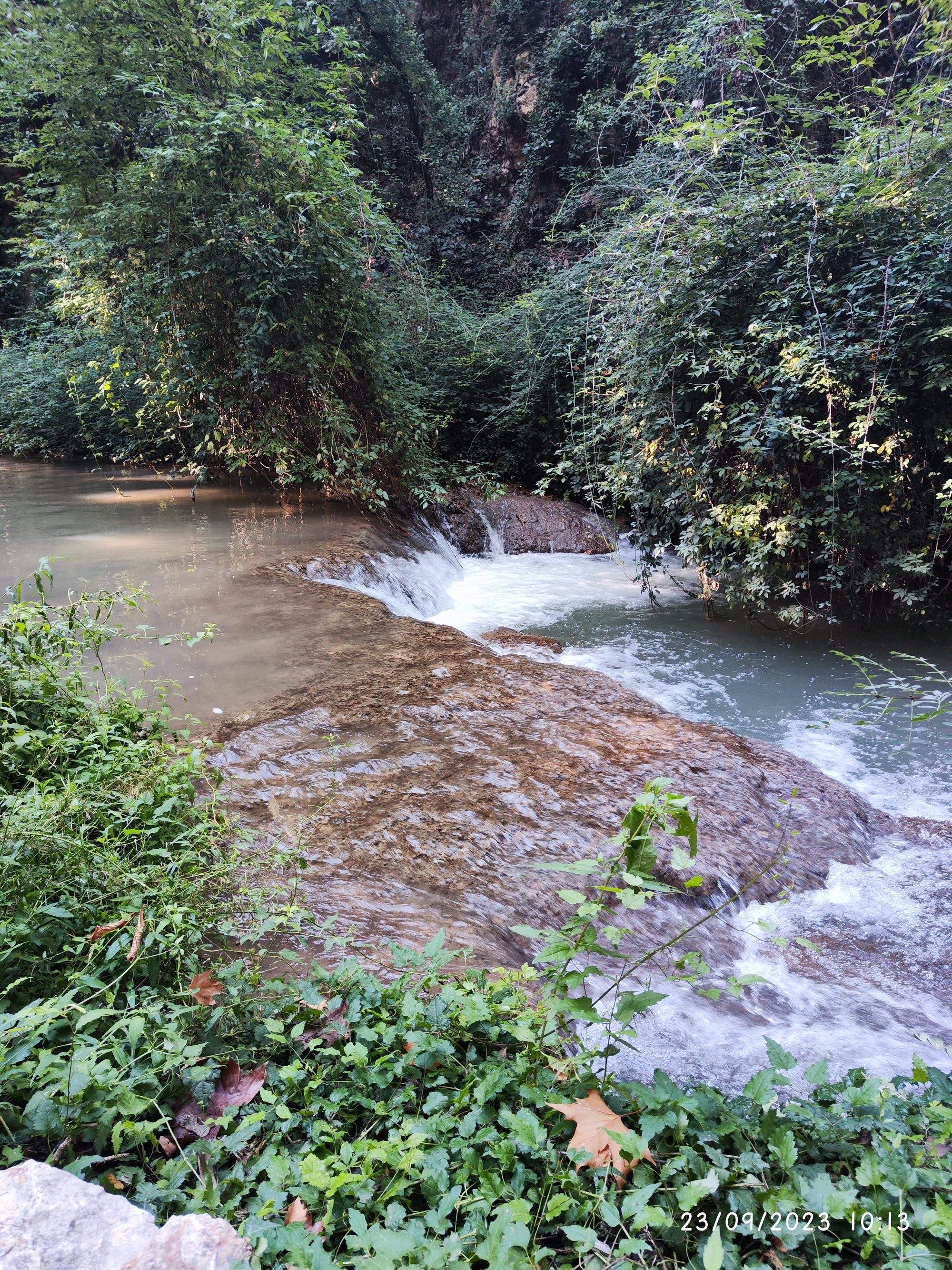 Pequeña cascada fluyendo sobre rocas rodeada de densa vegetación verde en un río.