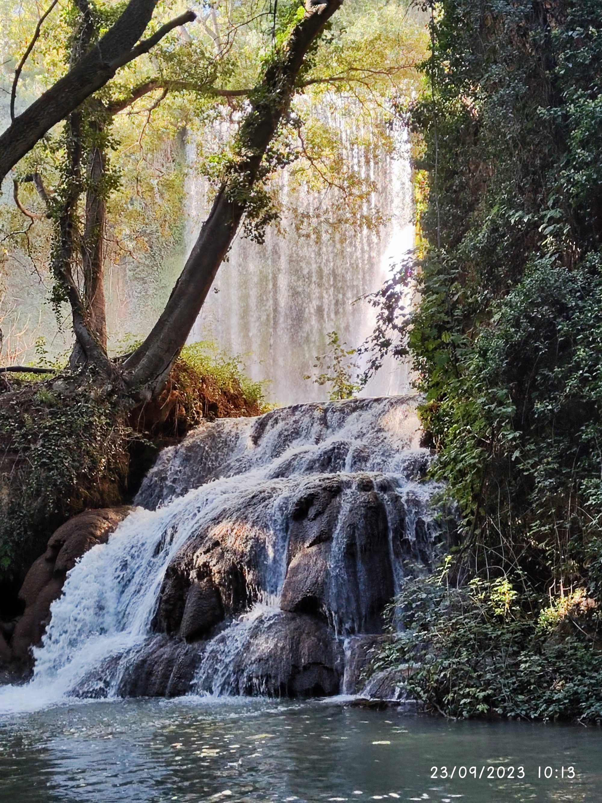 Imponente cascada rodeada de frondosa vegetación y árboles en un entorno natural.