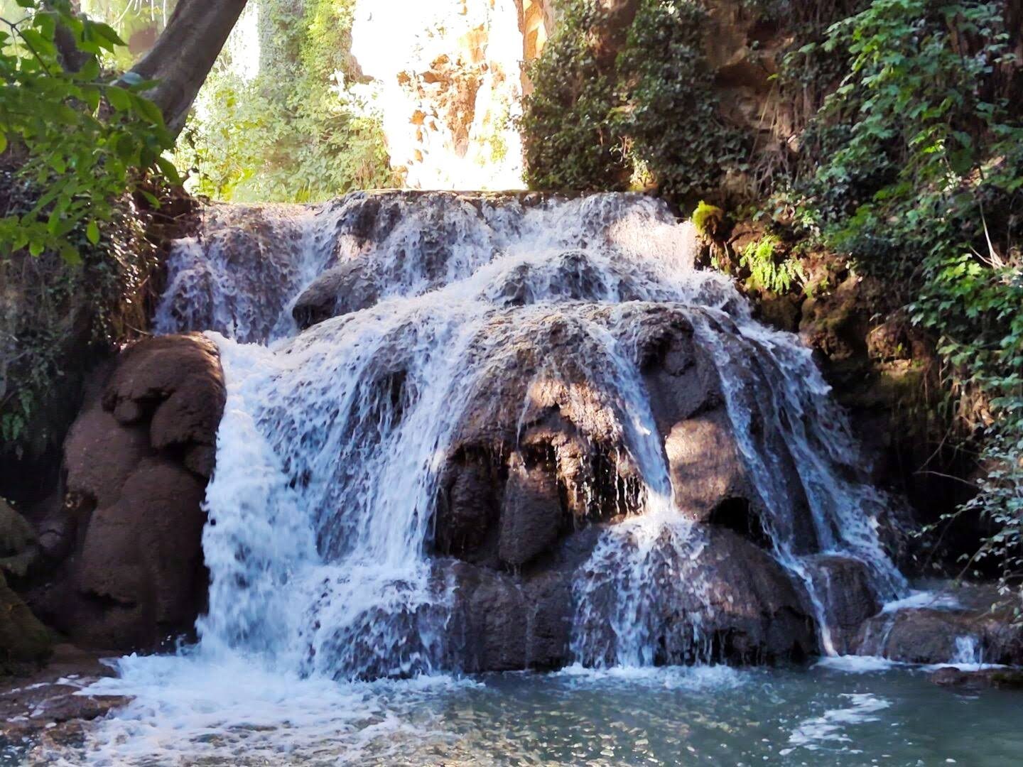 Cascada de agua fluyendo sobre rocas oscuras rodeada de frondosa vegetación verde.