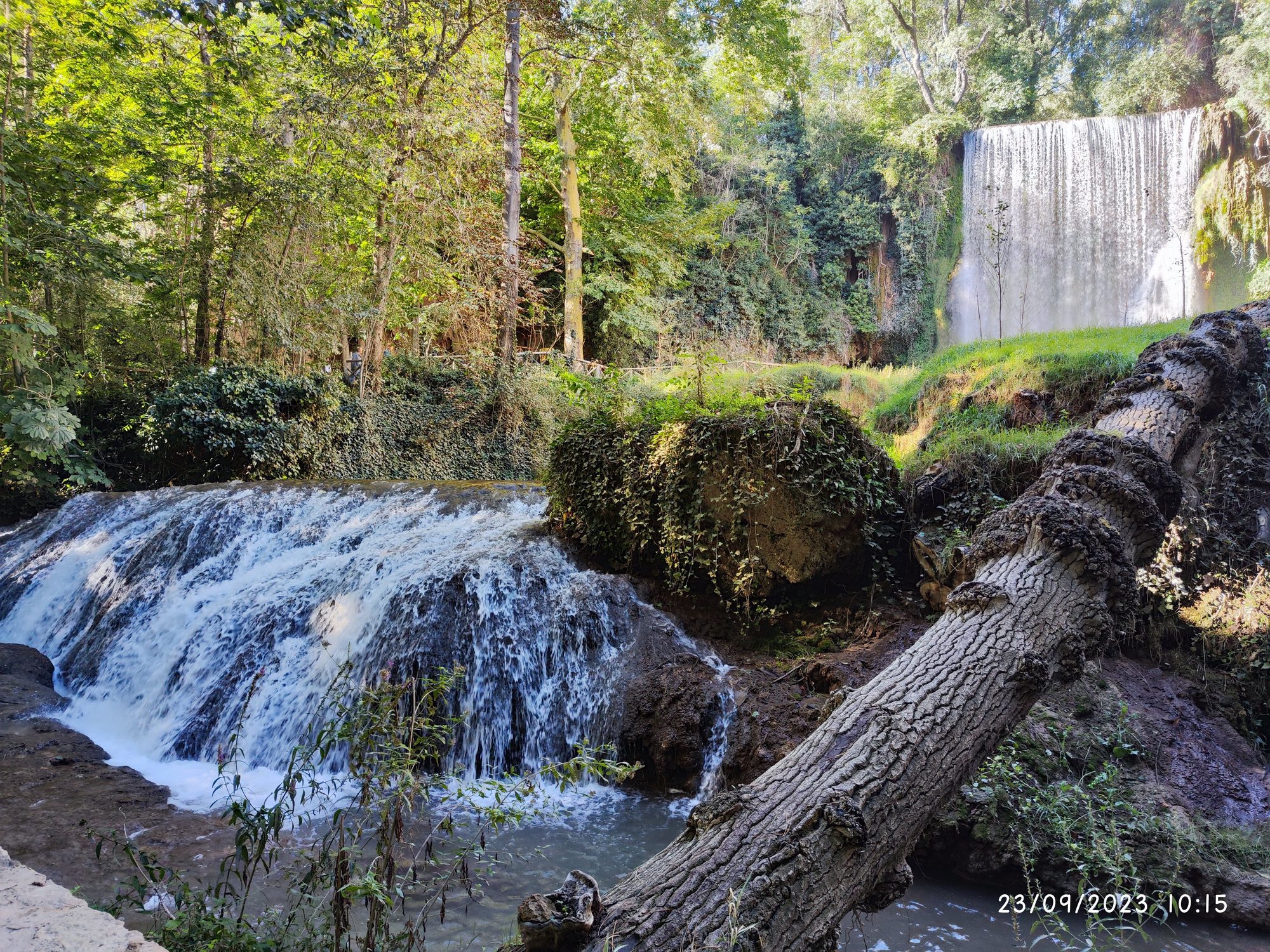 Cascadas de agua rodeadas de vegetación exuberante y un tronco caído en el bosque.