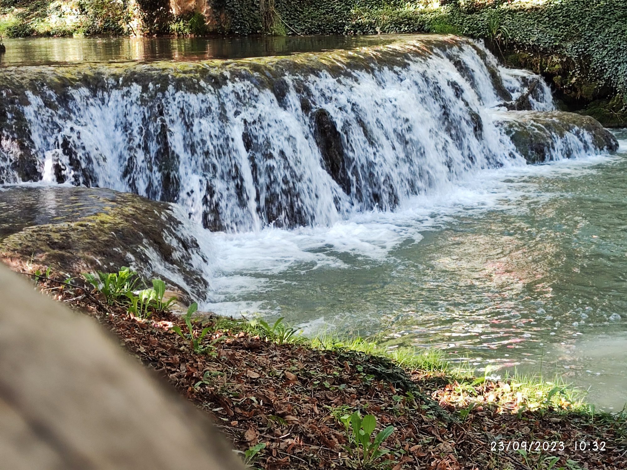 Cascada de agua cayendo sobre rocas musgosas hacia una poza verdosa rodeada de vegetación.