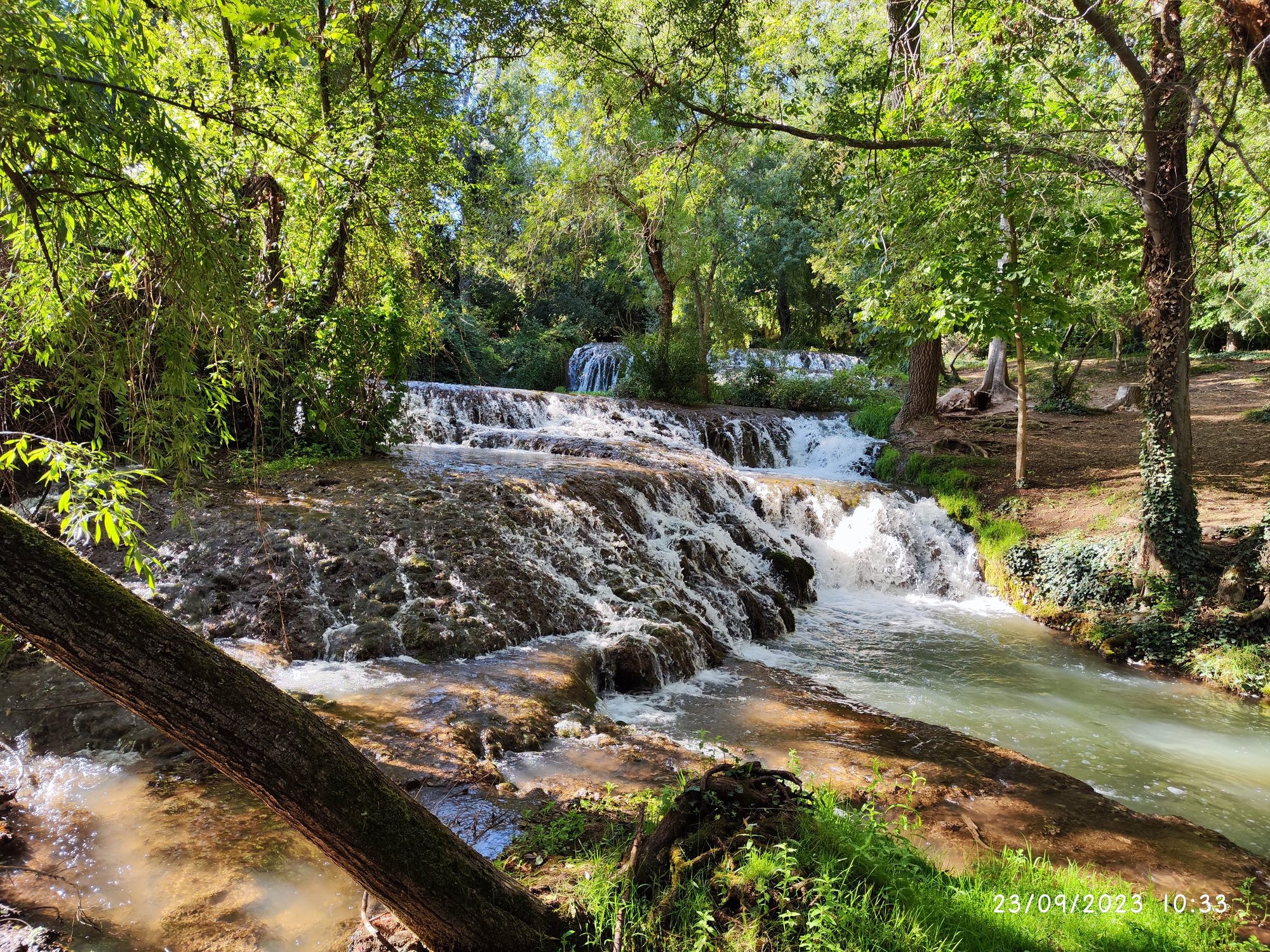 Cascadas de agua fluida entre rocas y frondosa vegetación verde en un bosque soleado.