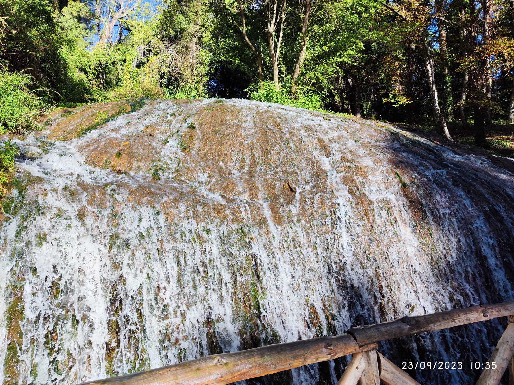 Agua fluyendo sobre una amplia roca cubierta de musgo rodeada de vegetación verde.