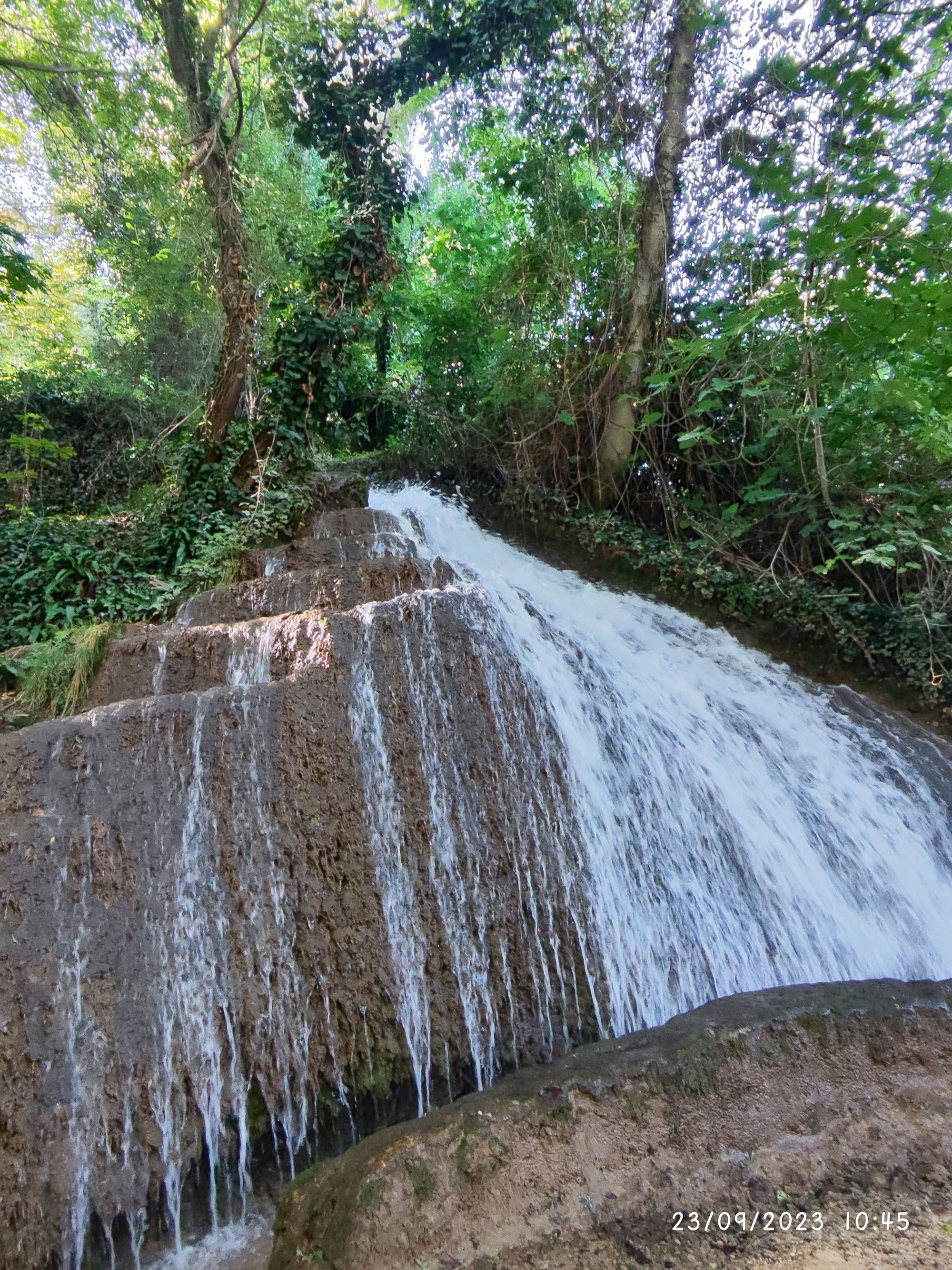 Cascada de agua fluyendo por rocas escalonadas rodeada de un frondoso bosque verde.
