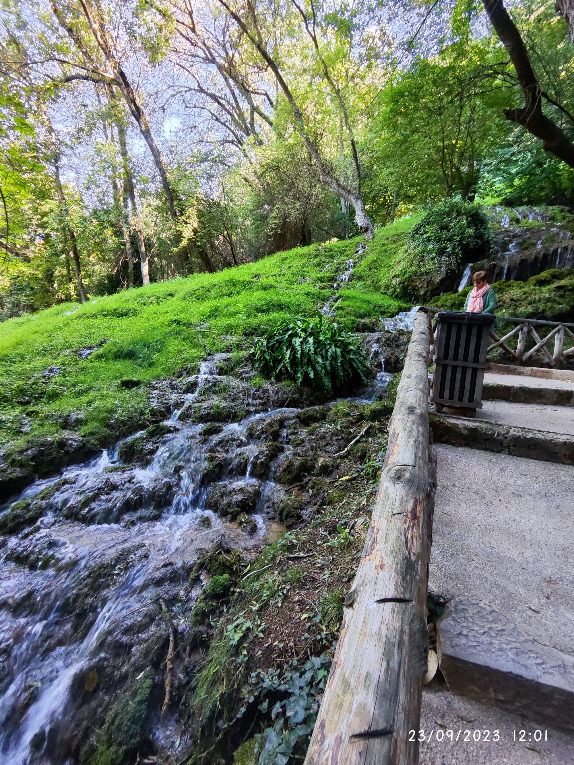 Pequeña cascada fluyendo por rocas entre un frondoso bosque verde en Nuévalos.