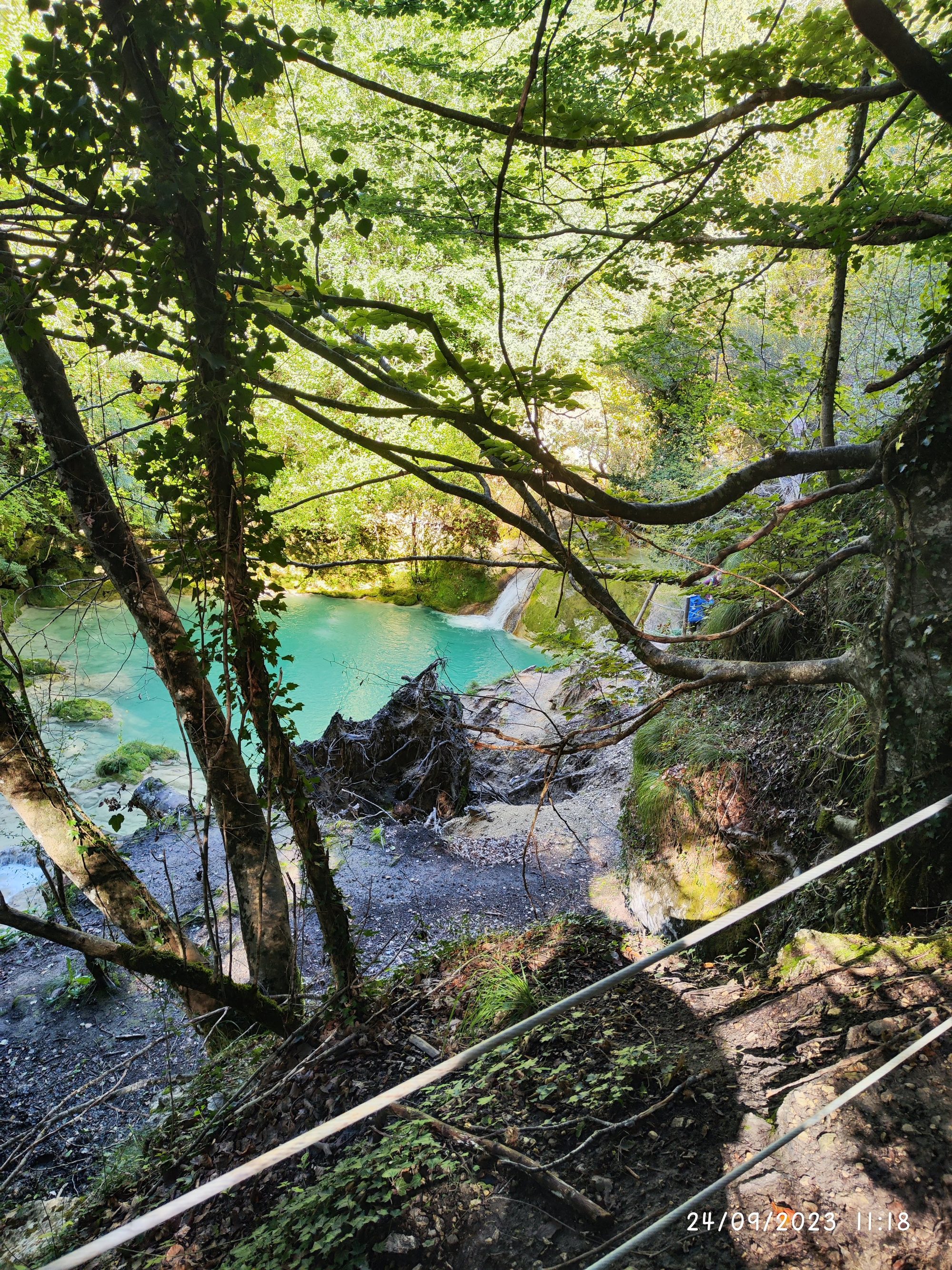 Poza de agua turquesa rodeada de frondosos árboles y vegetación en el bosque.