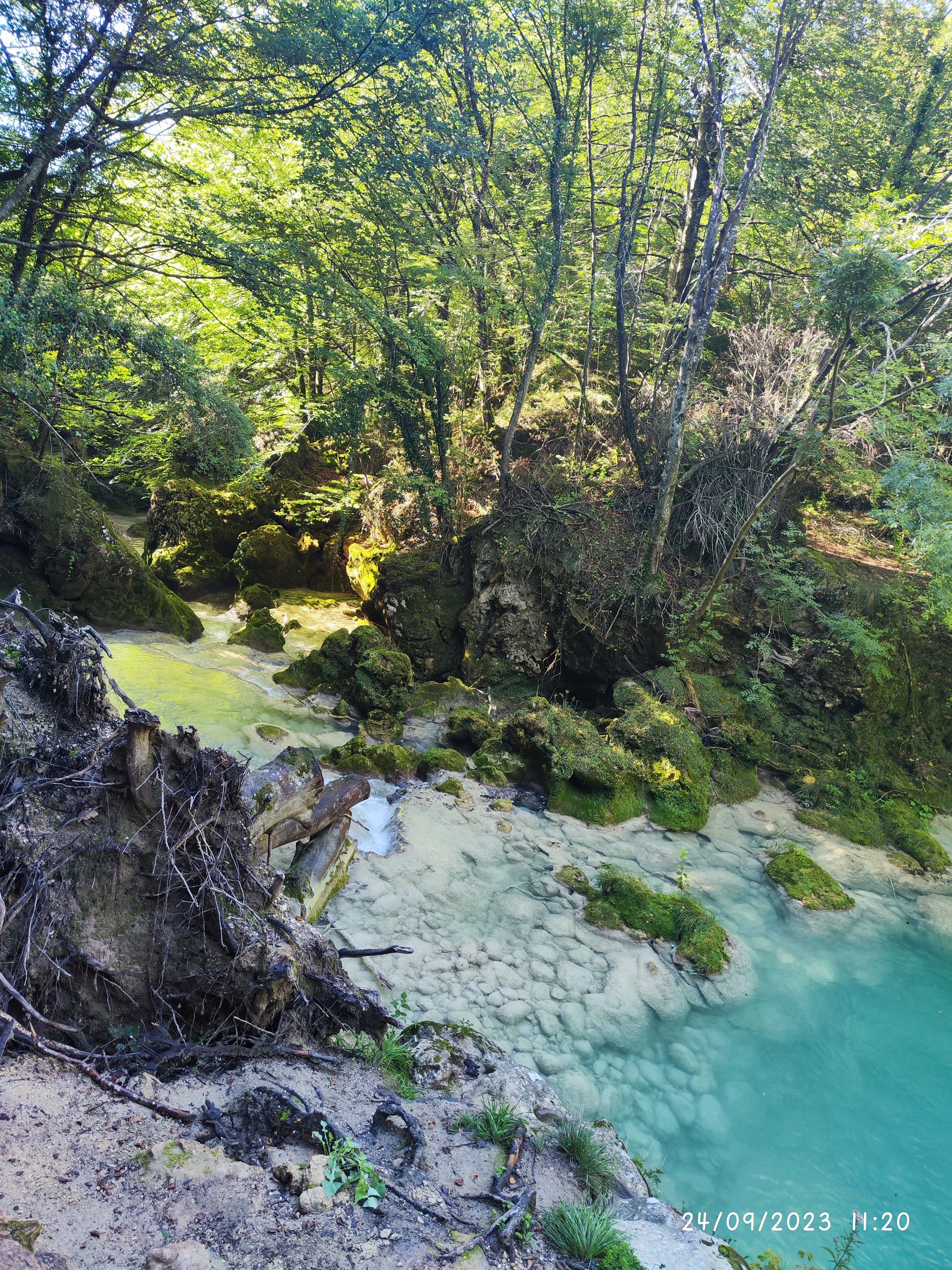 Río de aguas turquesas y cristalinas fluyendo entre rocas musgosas en un denso bosque.