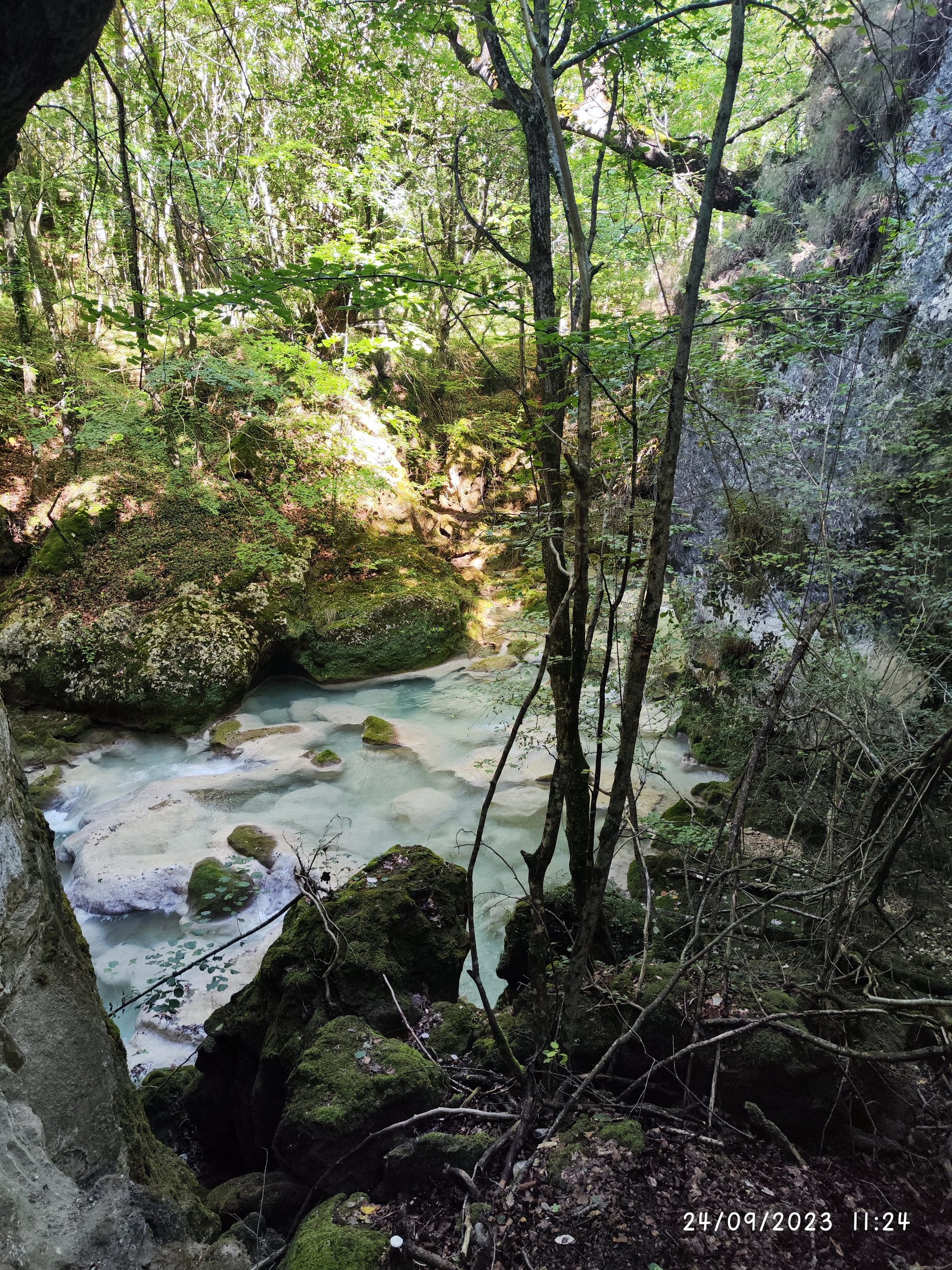 Pozas de agua turquesa entre rocas musgosas y un denso bosque verde.