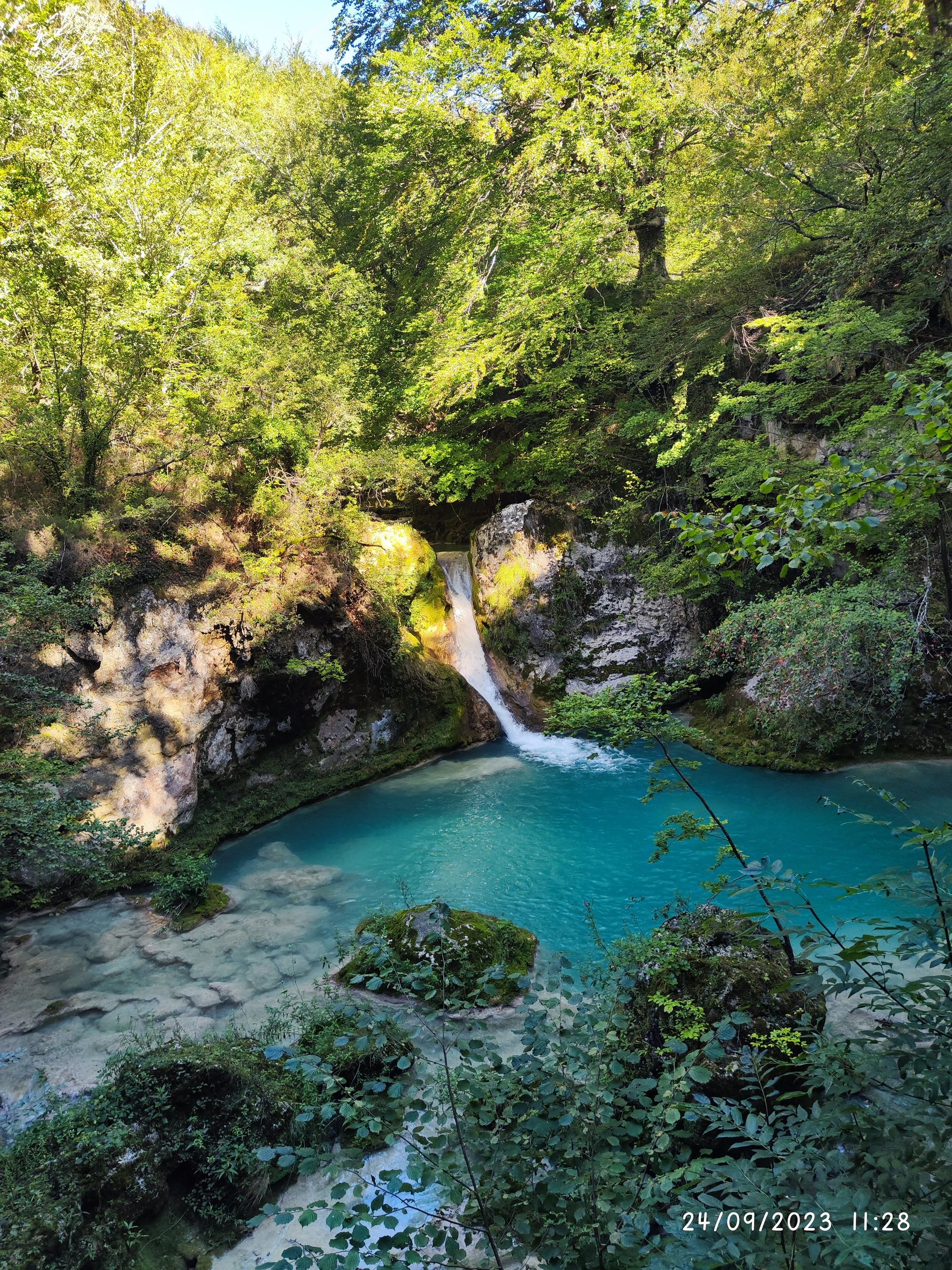 Cascada de agua cristalina cayendo en una poza turquesa rodeada de frondoso bosque verde.
