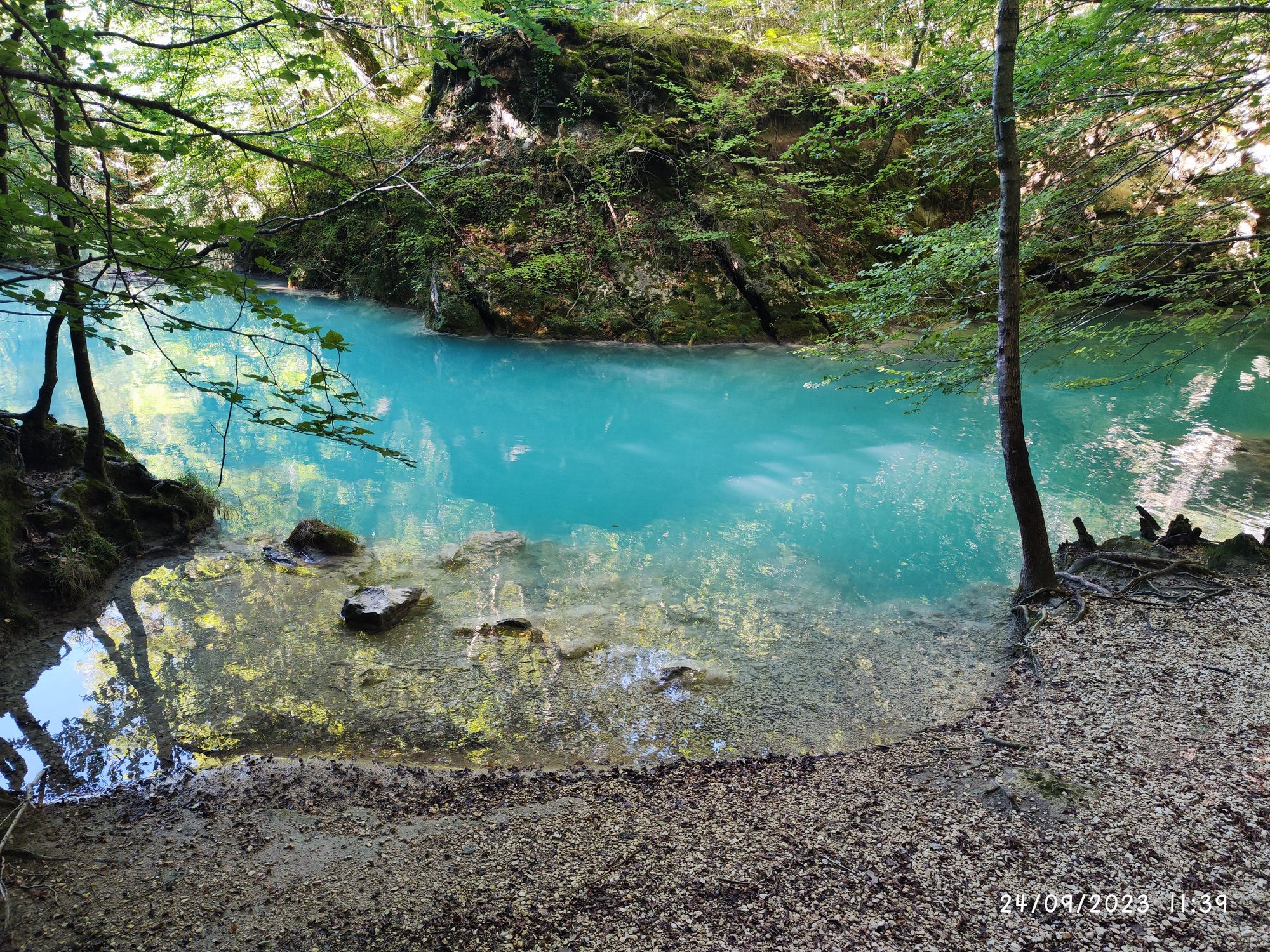 Río de cristalinas aguas turquesas rodeado por un frondoso bosque verde.