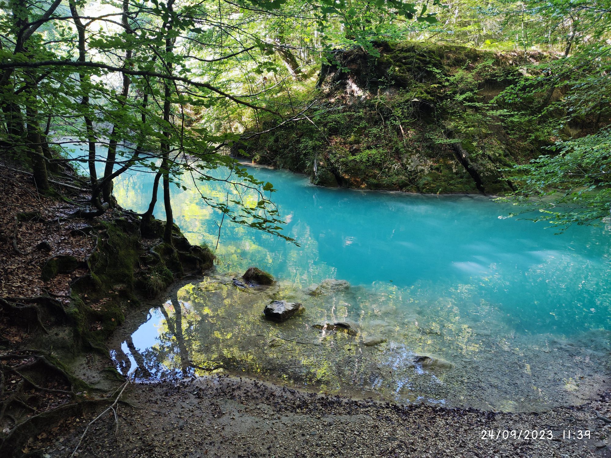 Río de intensas aguas turquesas rodeado de un frondoso bosque verde en Améscoa Baja.