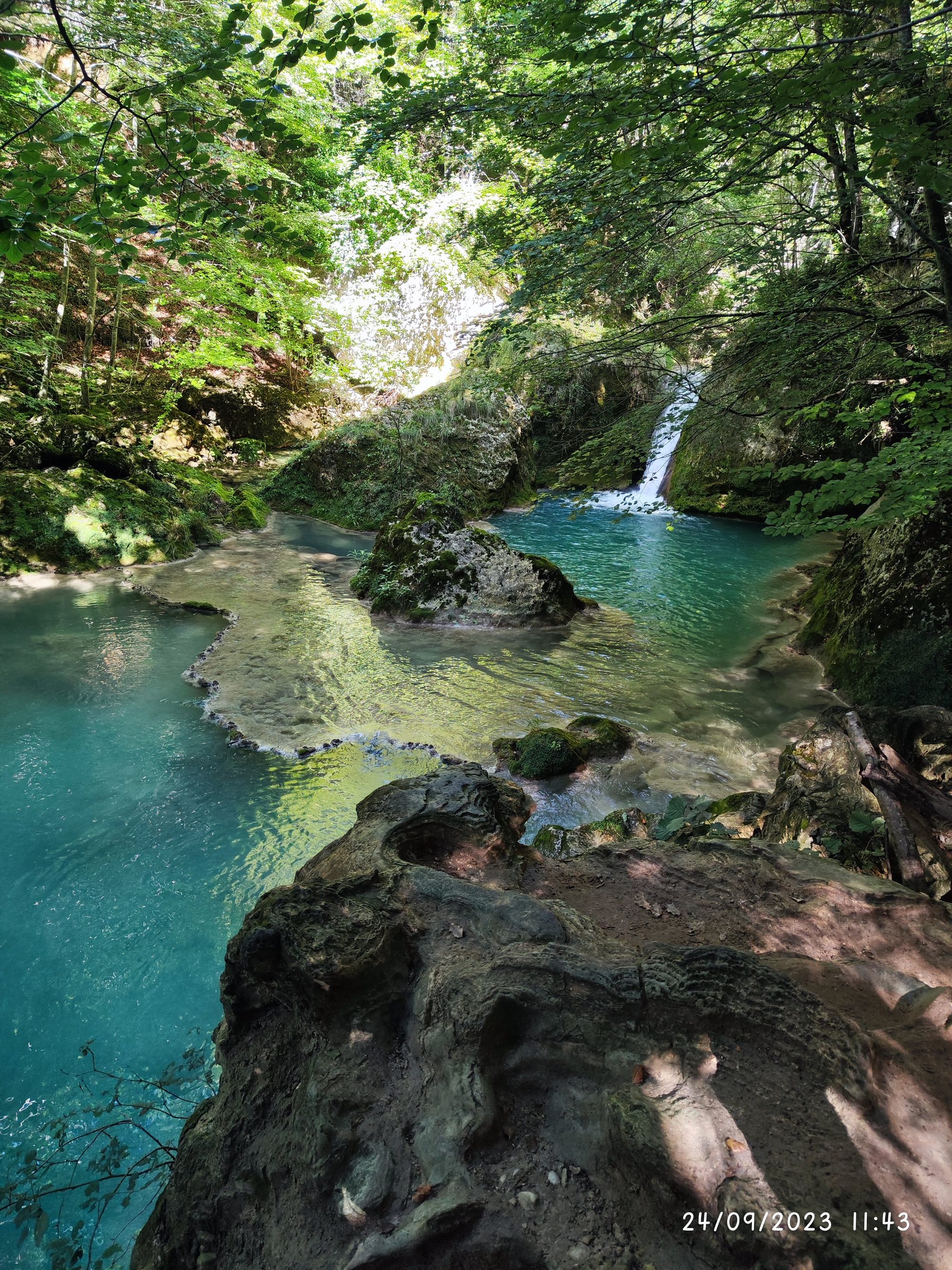 Poza de agua turquesa y pequeña cascada rodeadas de densa vegetación y rocas.