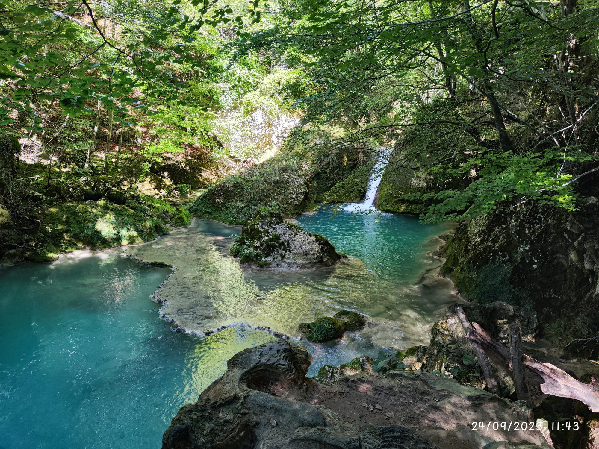 Poza de agua turquesa y cascada rodeada de frondosos árboles en un bosque verde.