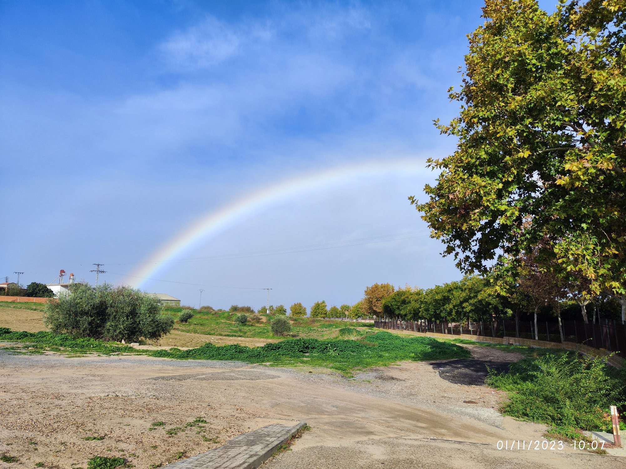 Arcoíris sobre un paisaje de campo con árboles en otoño bajo el cielo azul.