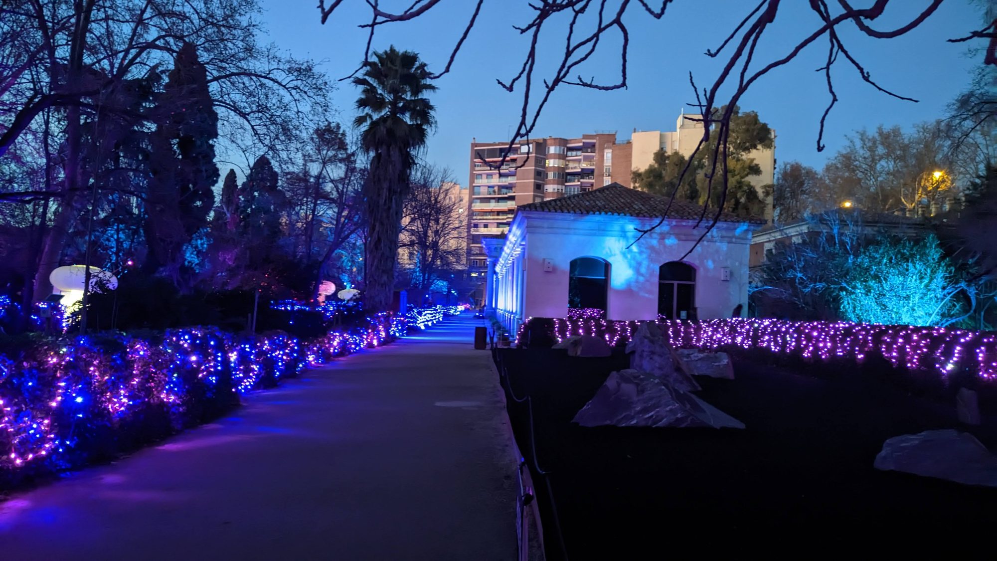 Sendero en un jardín iluminado con luces azules y púrpuras junto a un pabellón.
