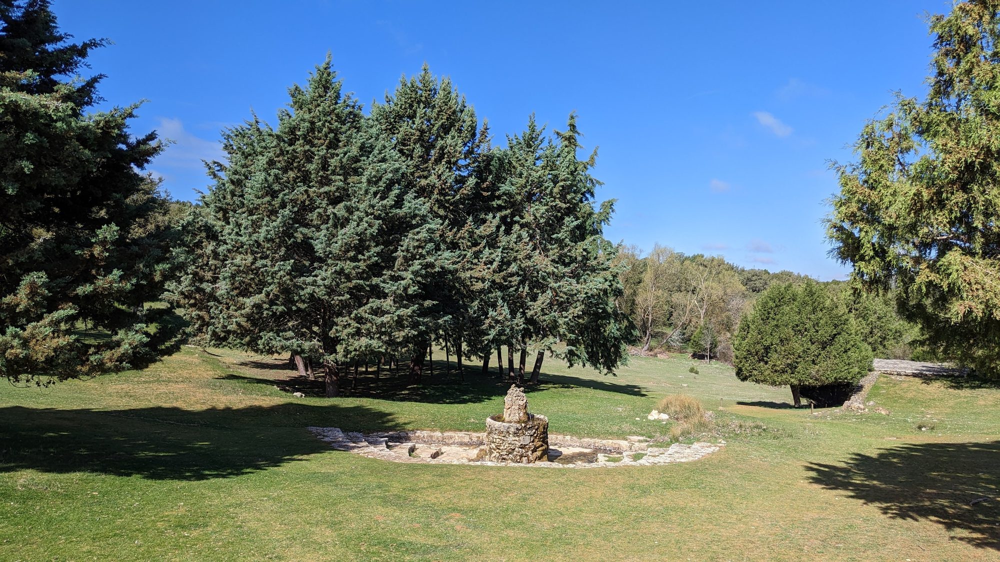 Fuente de piedra en un prado verde rodeado de densos árboles bajo un cielo azul