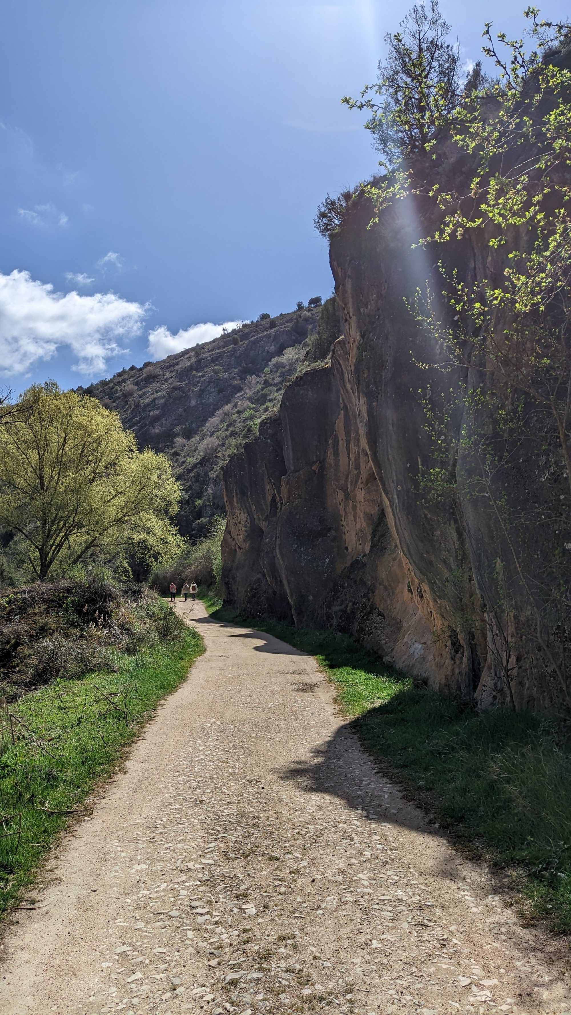Camino de tierra bordeado por altos desfiladeros rocosos y vegetación bajo el sol.