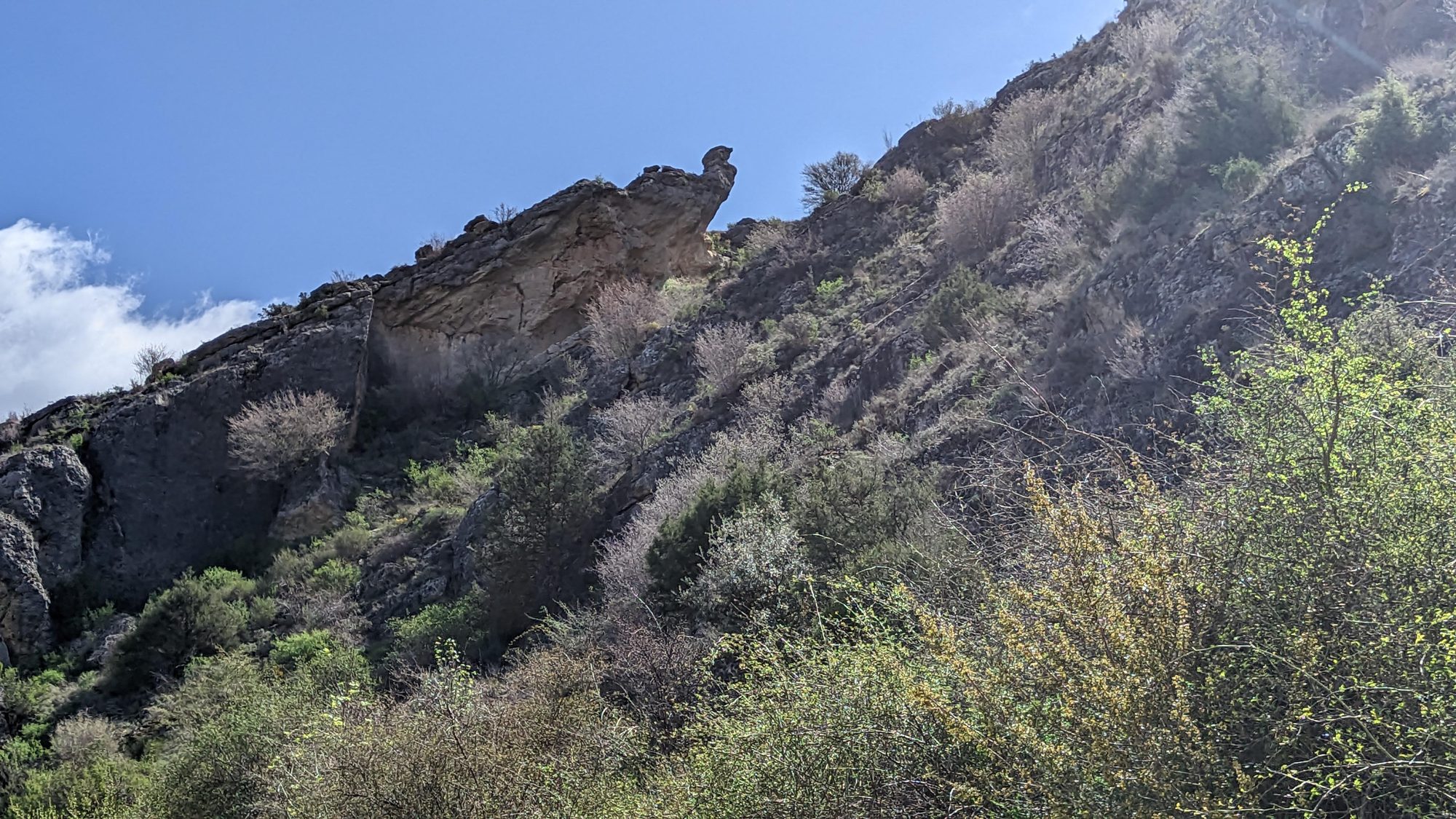 Formación rocosa en ladera de montaña con vegetación silvestre bajo un cielo azul.