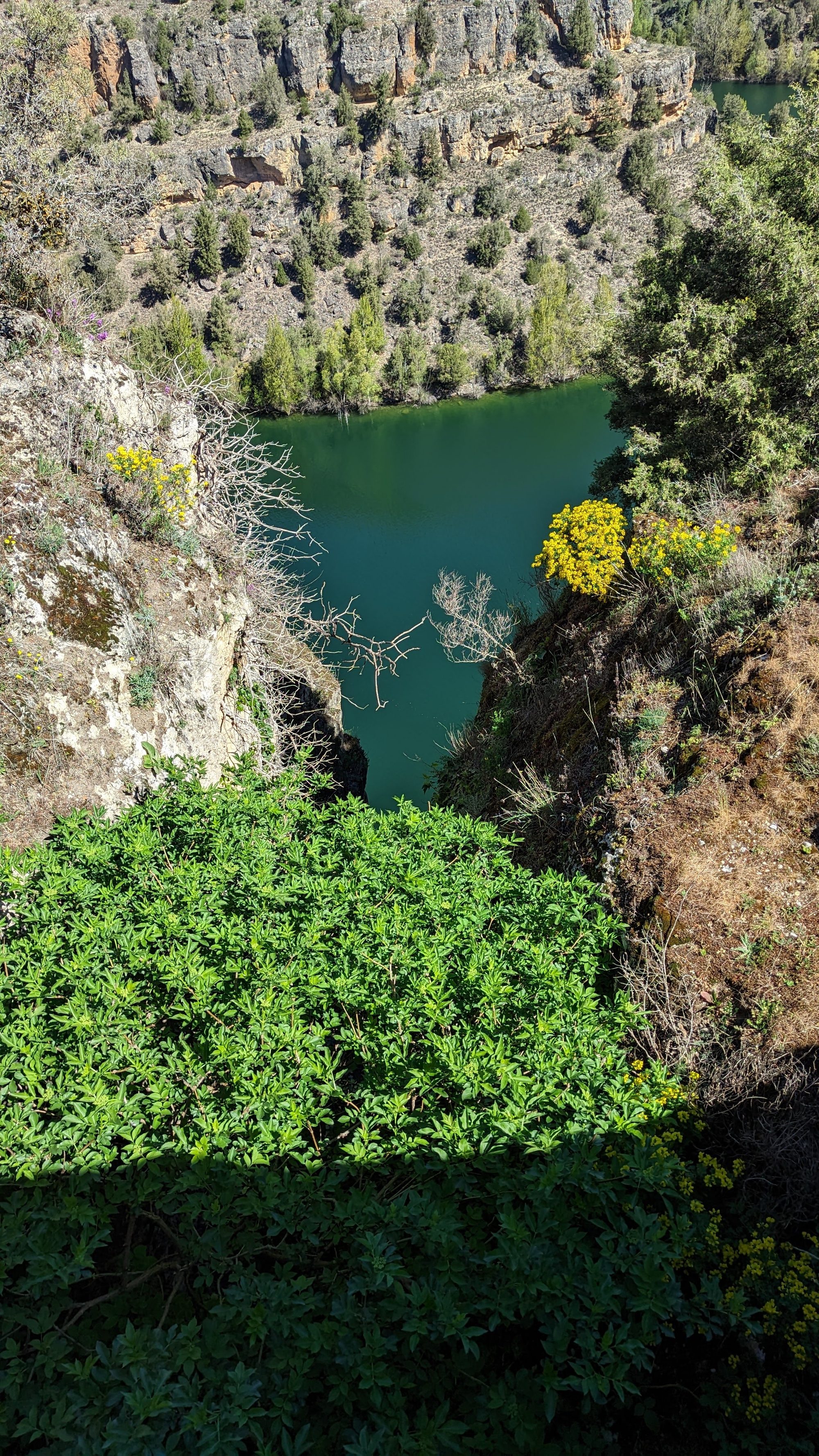 Cañón rocoso con río de aguas verdes intensas entre acantilados y vegetación silvestre.