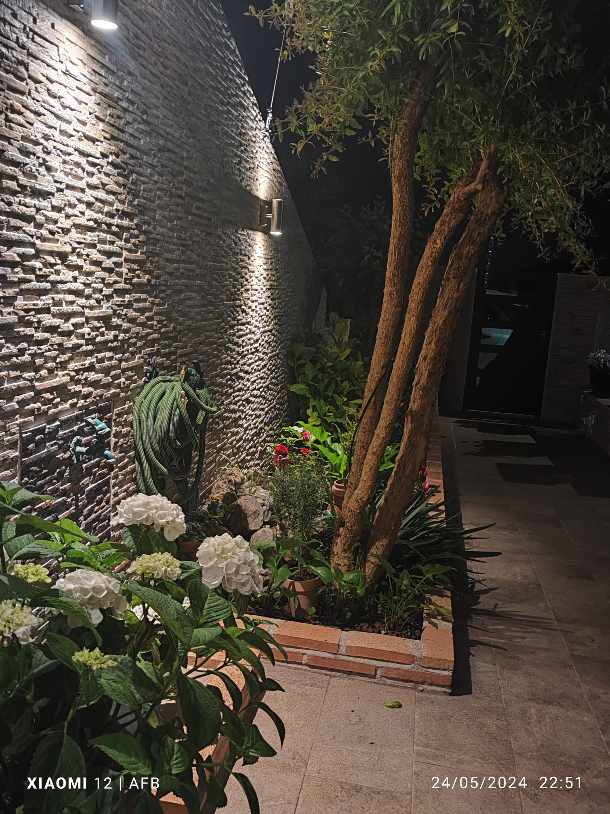 Jardín de noche con pared de piedra iluminada, hortensias blancas y un pequeño árbol.