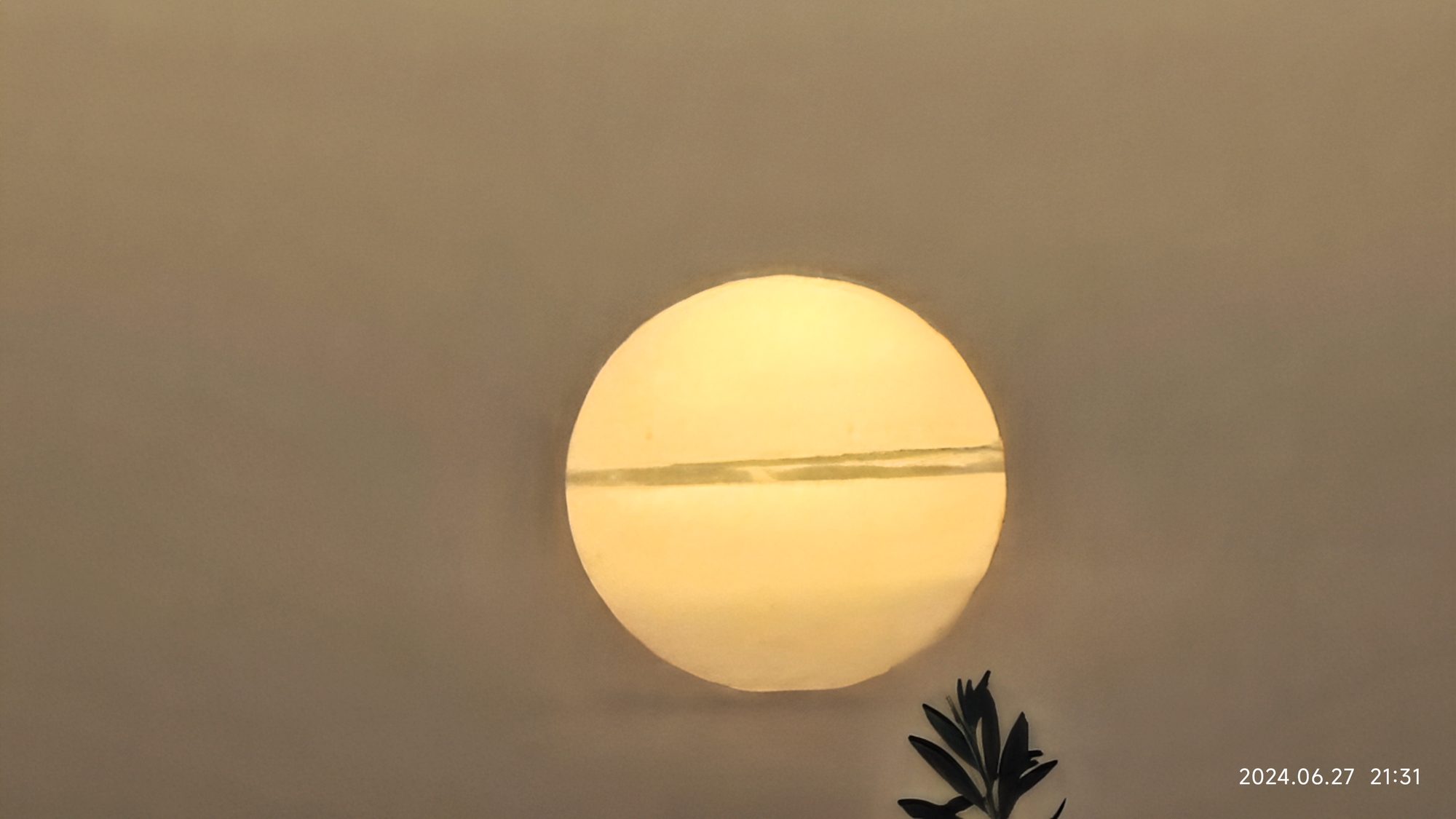 Sol de atardecer dorado cruzado por una fina nube junto a siluetas de hojas.