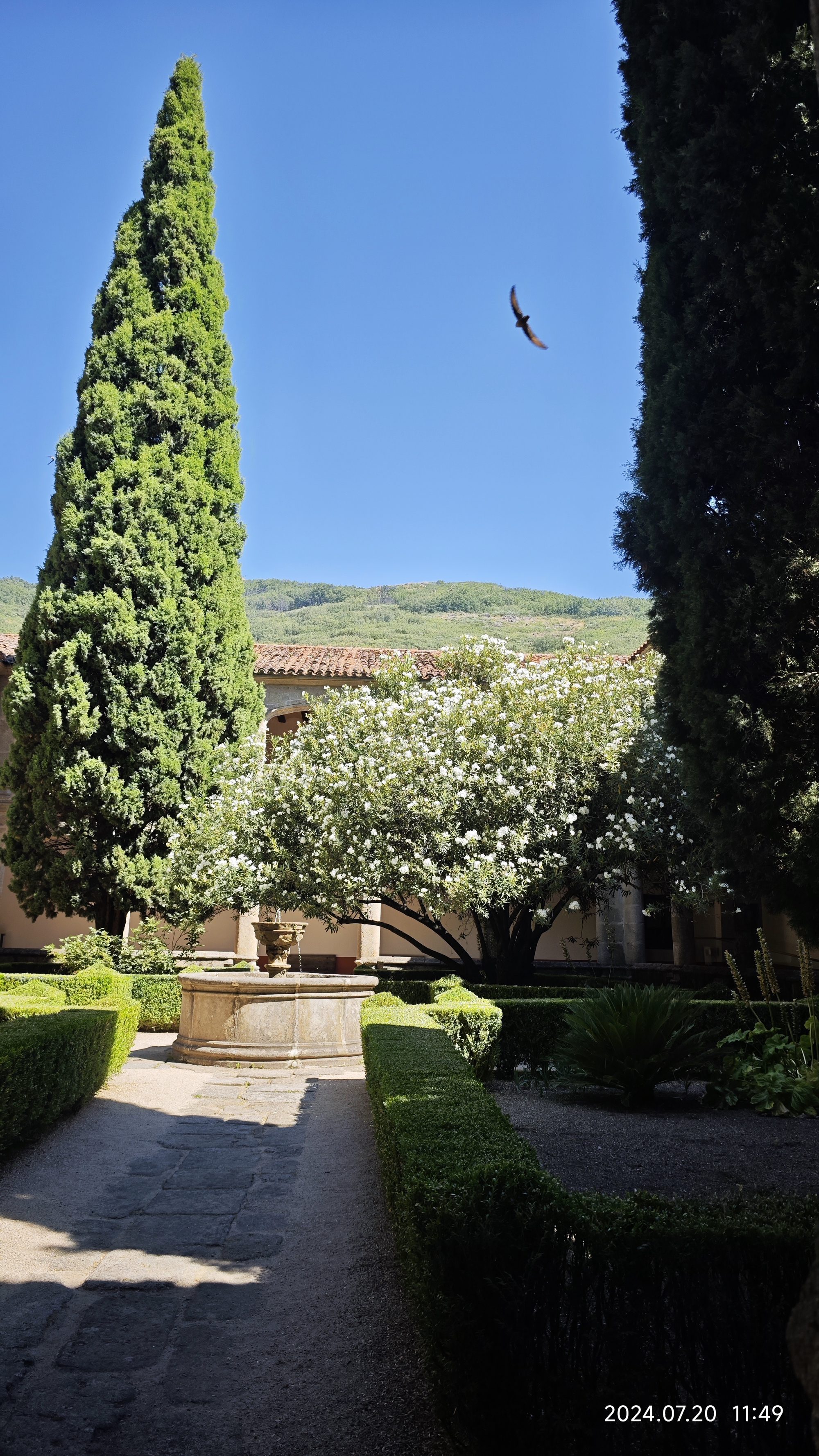 Jardín con fuente de piedra, cipreses altos, adelfa en flor y ave en el cielo.