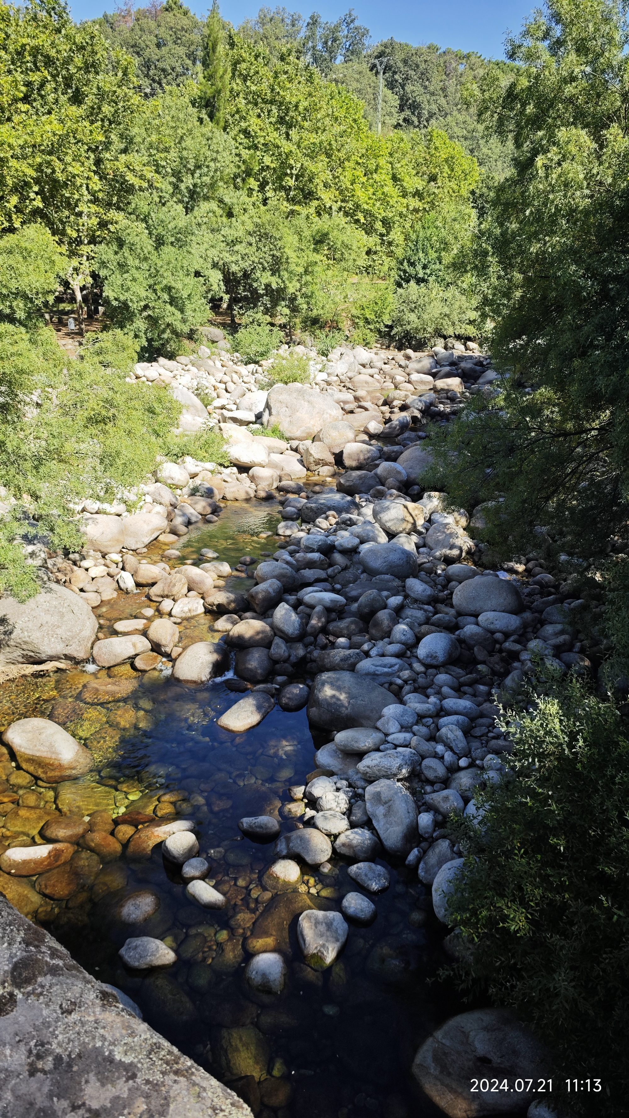 Cauce de un río de montaña con rocas redondeadas y frondosa vegetación verde alrededor.