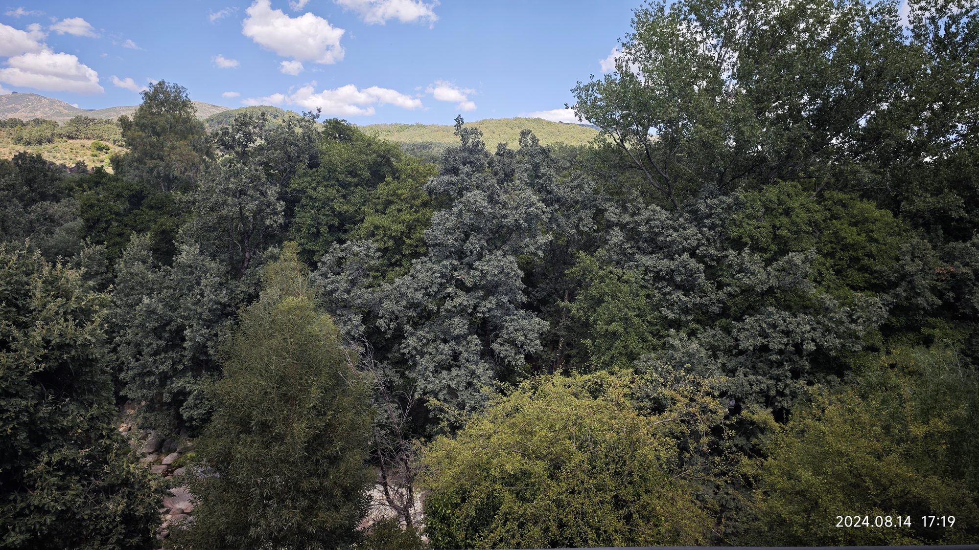Denso bosque verde y colinas lejanas bajo un cielo azul con nubes dispersas.