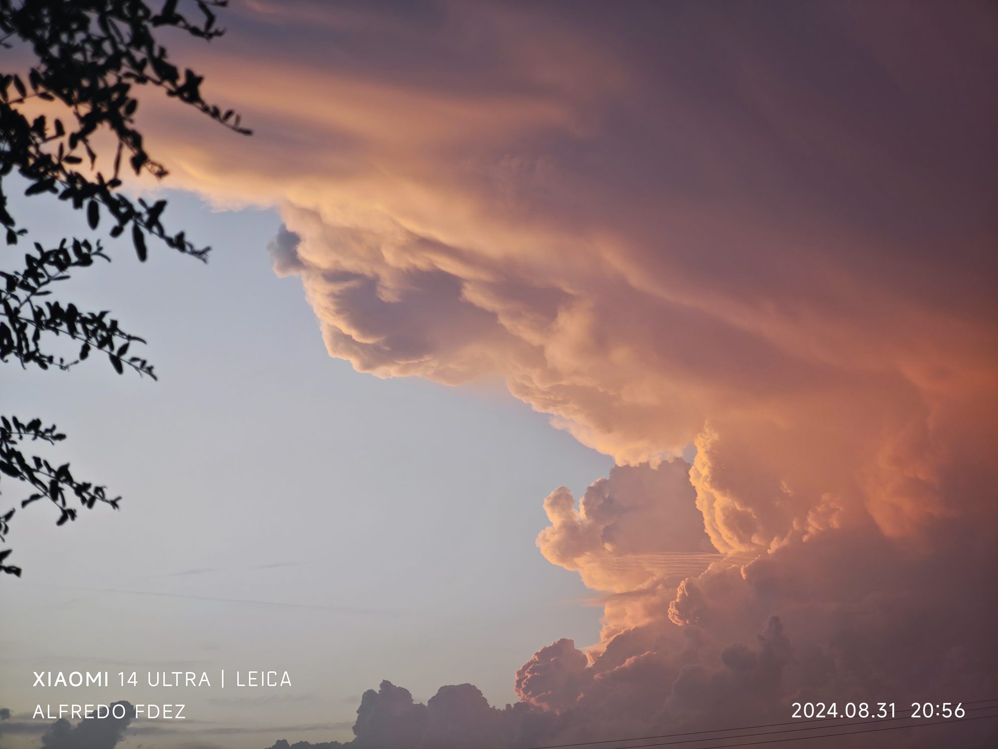 Nubes de atardecer iluminadas en tonos dorados y rosados junto a siluetas de ramas.