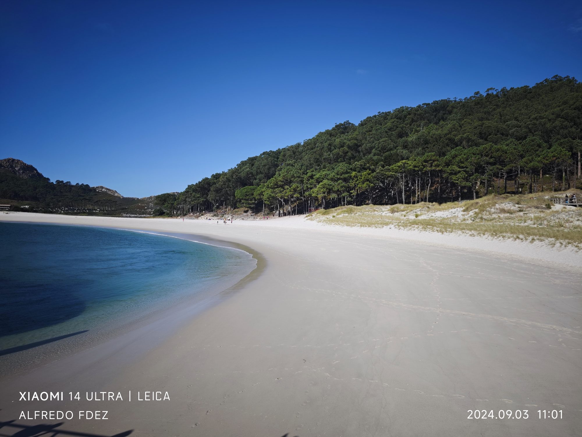 Playa de arena blanca y aguas turquesas bordeada por un denso pinar bajo cielo azul.