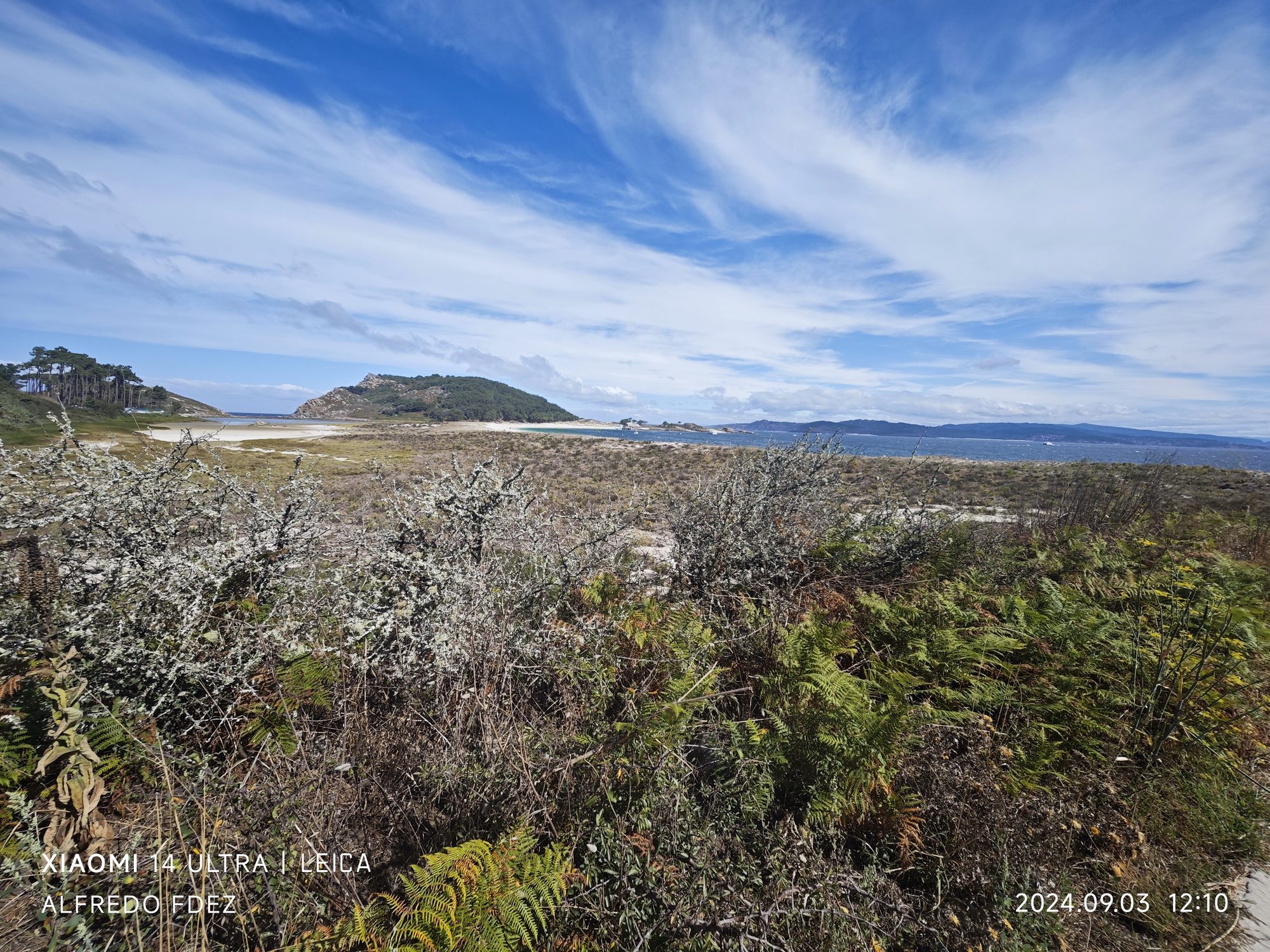 Paisaje costero con vegetación silvestre, playa de arena blanca y mar bajo cielo azul.